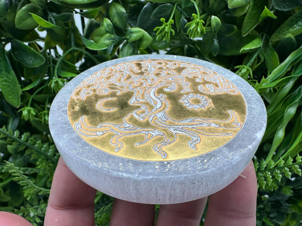 Tree of Life Selenite Plate: Crystal Recharging Station (8/8cm)