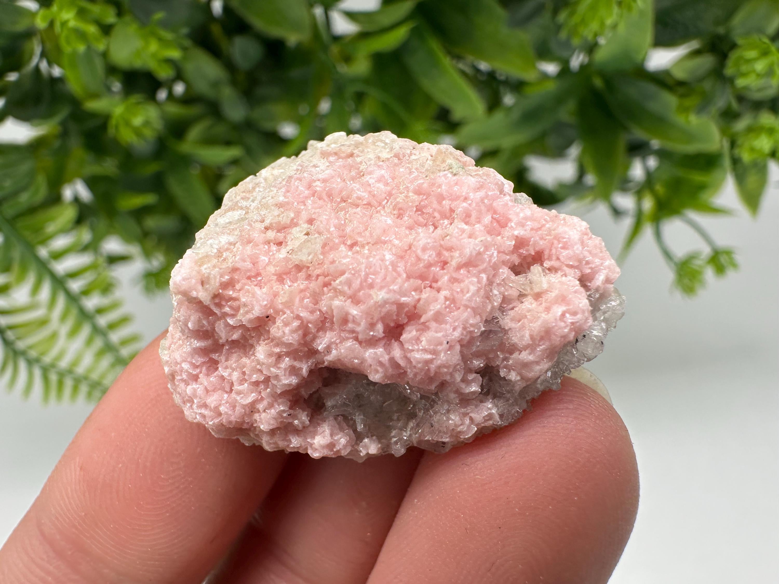 Pink Rhodochrosite Crystal: Starnica Mine, Bulgaria, Home Decor