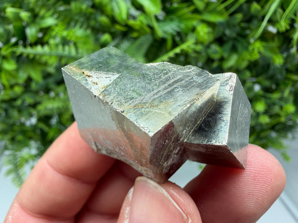 Interjoined Pyrite Cube, Shiny Home Decor Stone, La Rioja Spain