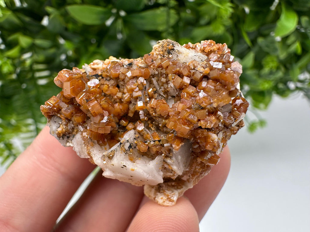 Red Vanadinite on Barite from Marocco,crystal minerals Speciment cluster Vanadinite crystal Vanadinite Geology Vanadinite cluster minerals