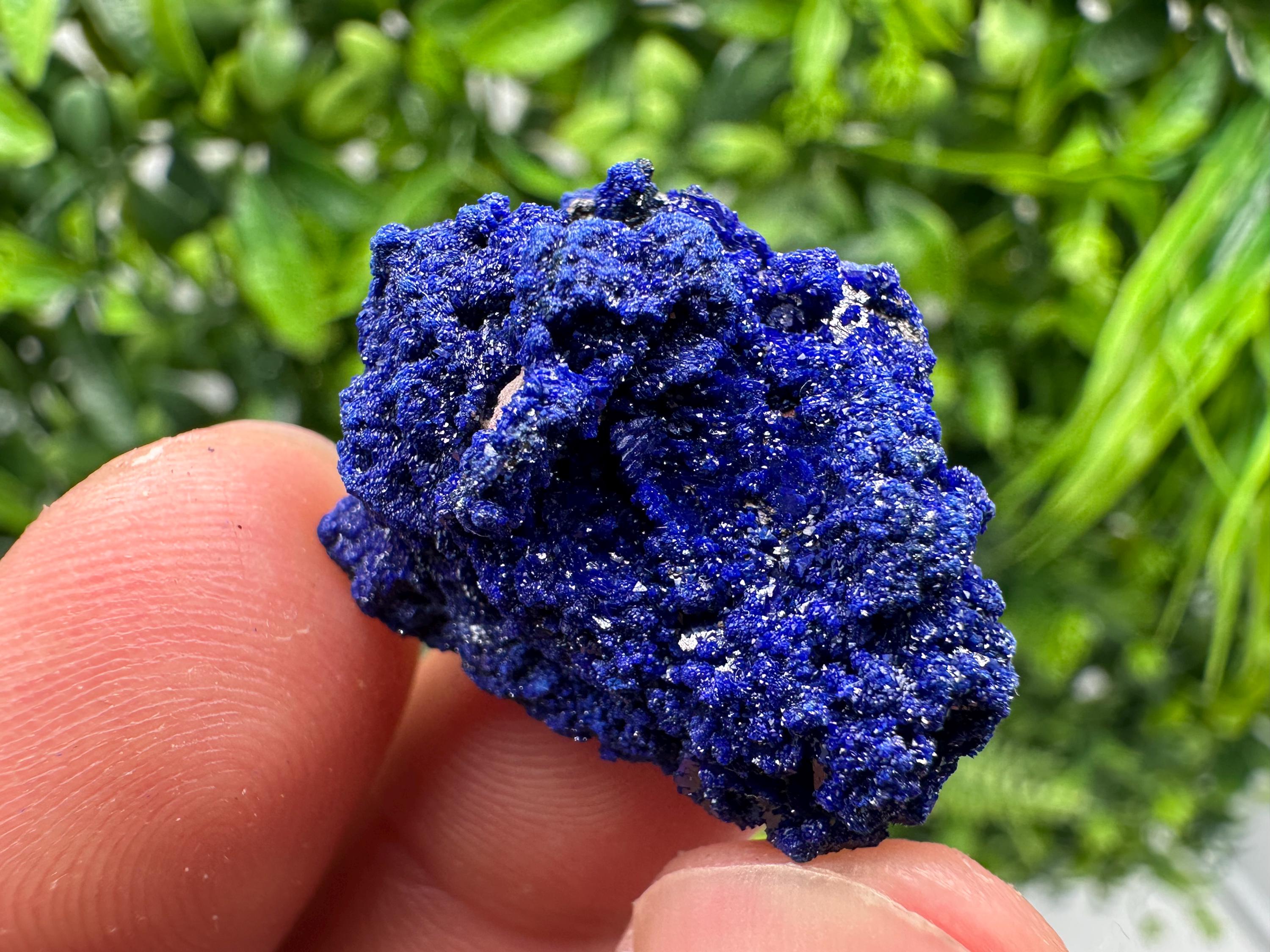 Crystallized Azurite-Kerrouchen,Morocco-Blue Azurite Specimen-High Quality Blue Azurite-Azurite Mineral Specimen, gemmy,lustrous of Azurite