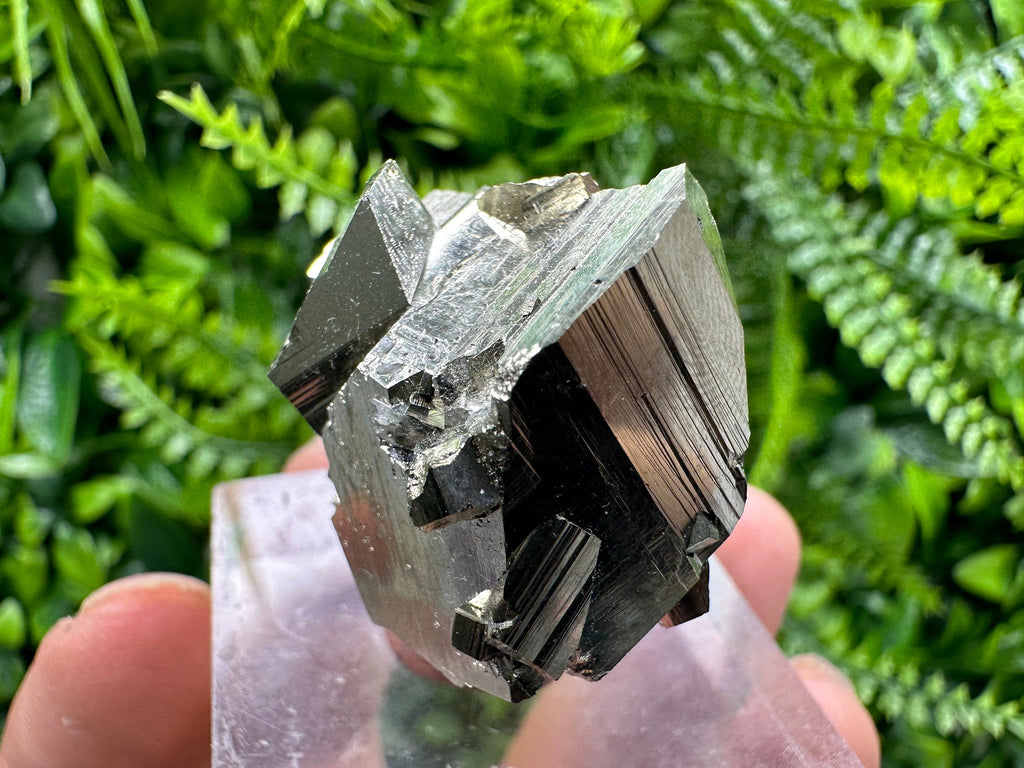 Golden Pyrite Cluster: Rare Floating Crystallization, Bulgaria