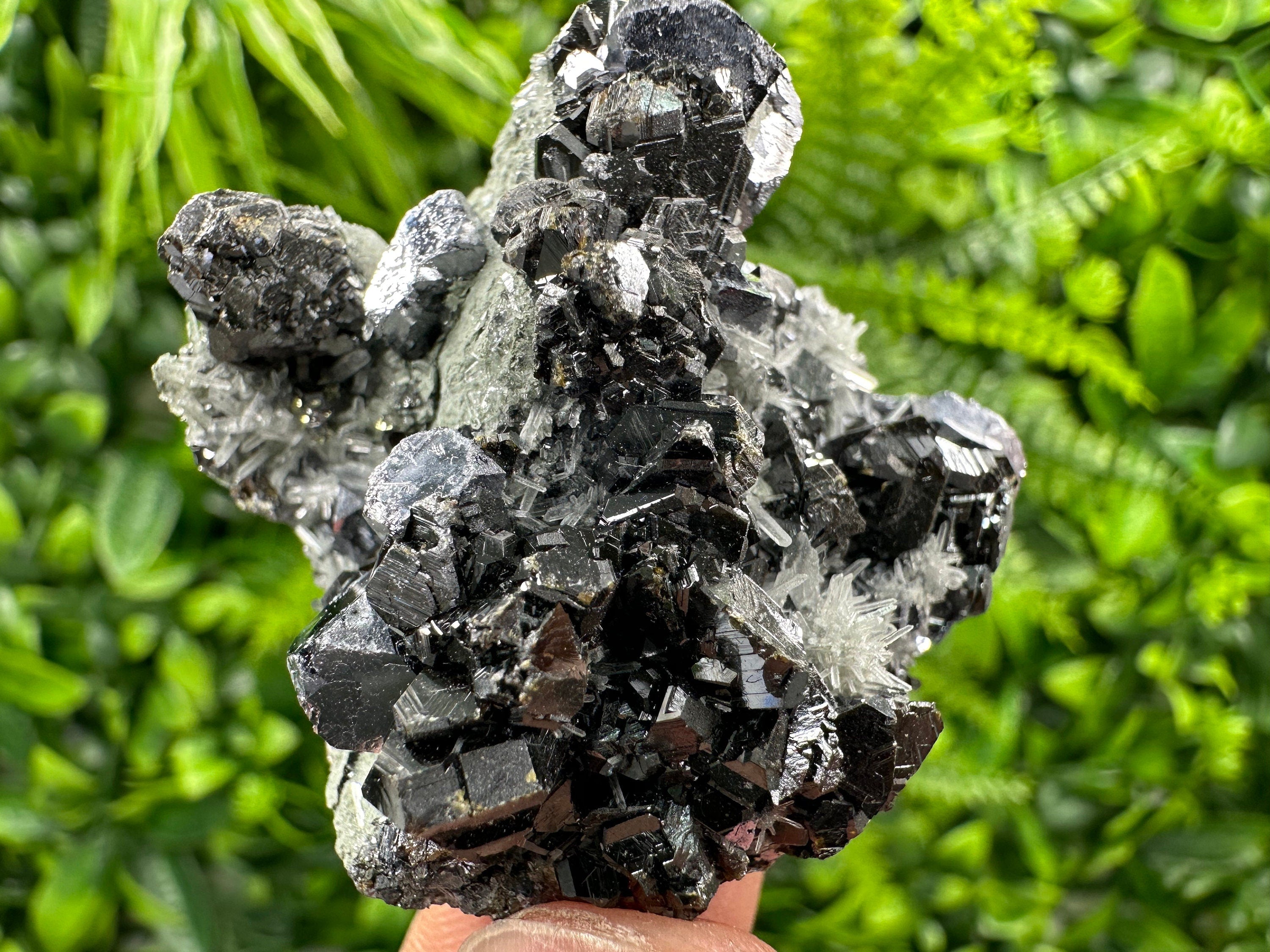 Galena Sphalerite on Needle Quartz: Borieva Mine Crystal, Bulgaria