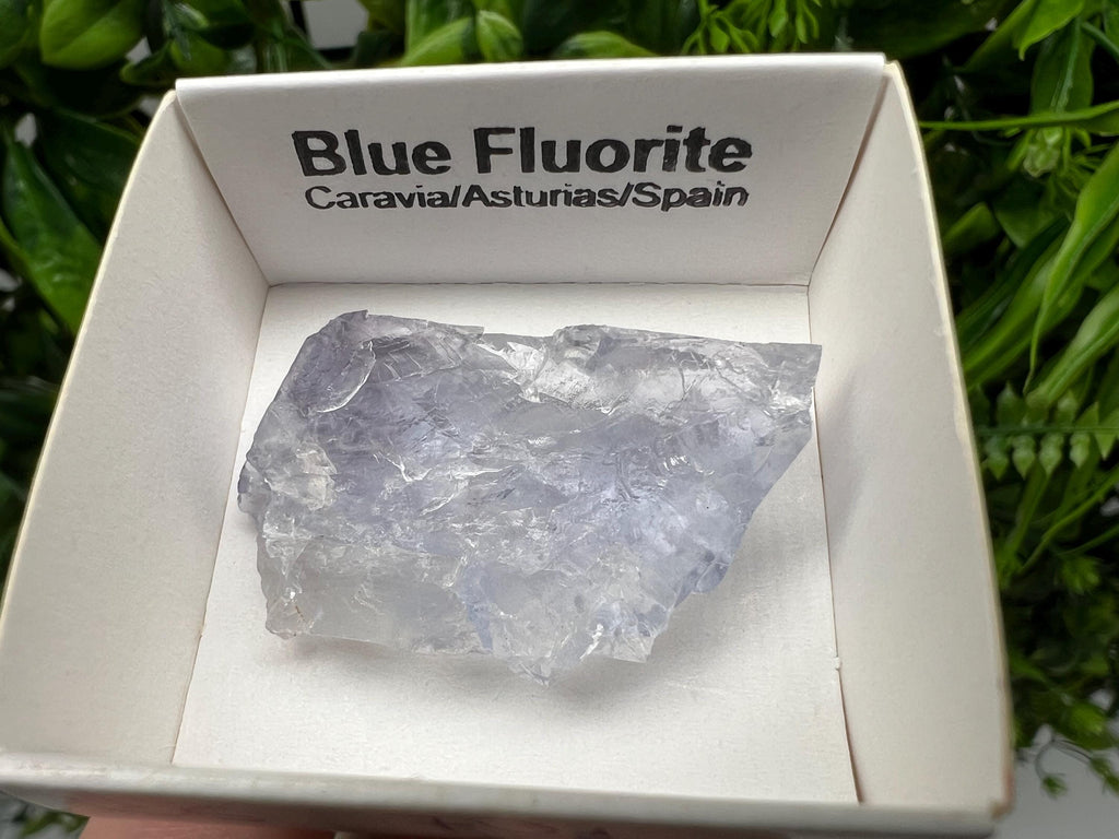 Blue Fluorite Mineral Specimen: Spain Collection (3.5/2.5 cm)