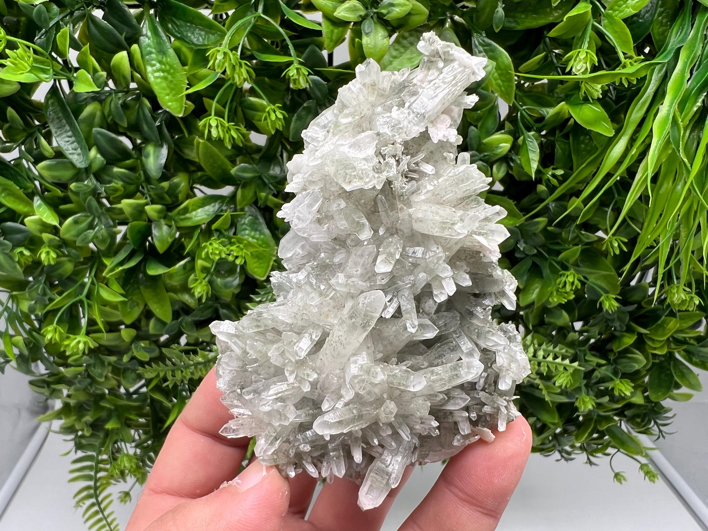 Chlorite Quartz Crystal Cluster - Borieva Mine, Bulgaria