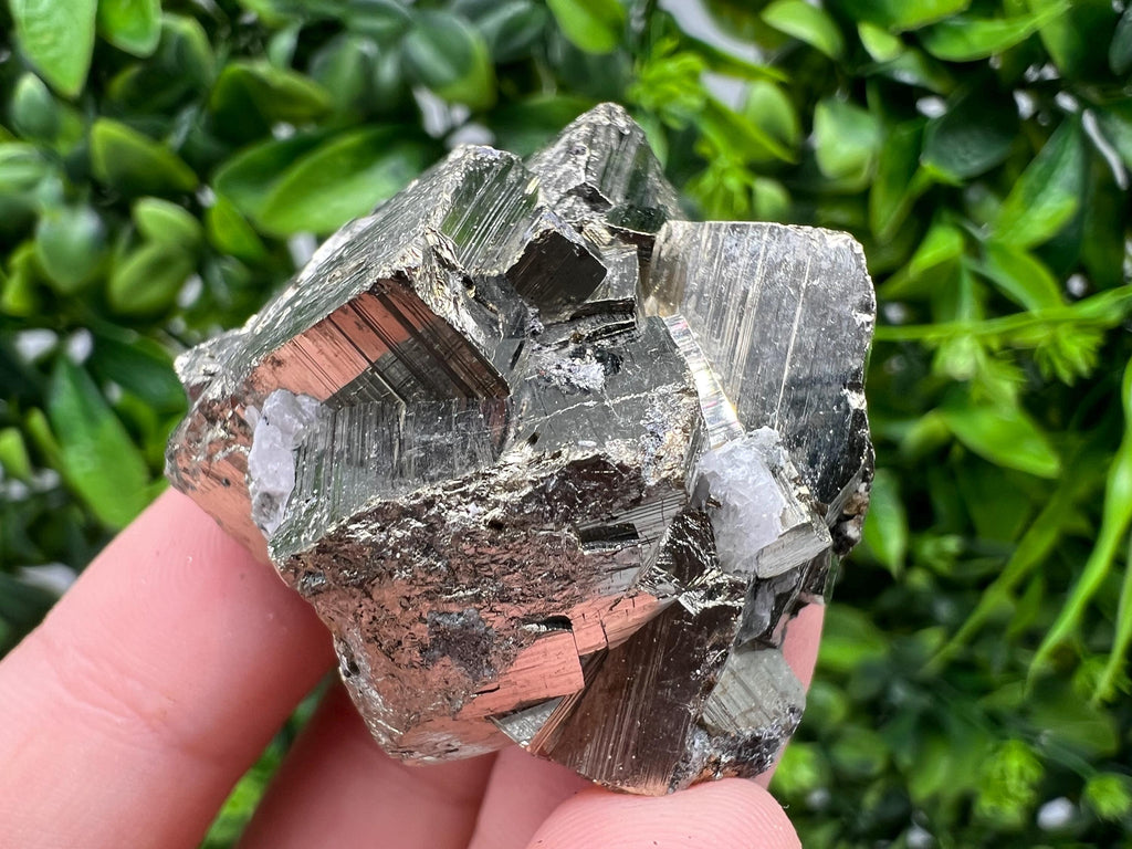 Rare Crystallized Pyrite Cluster, Borieva Mine, Bulgaria