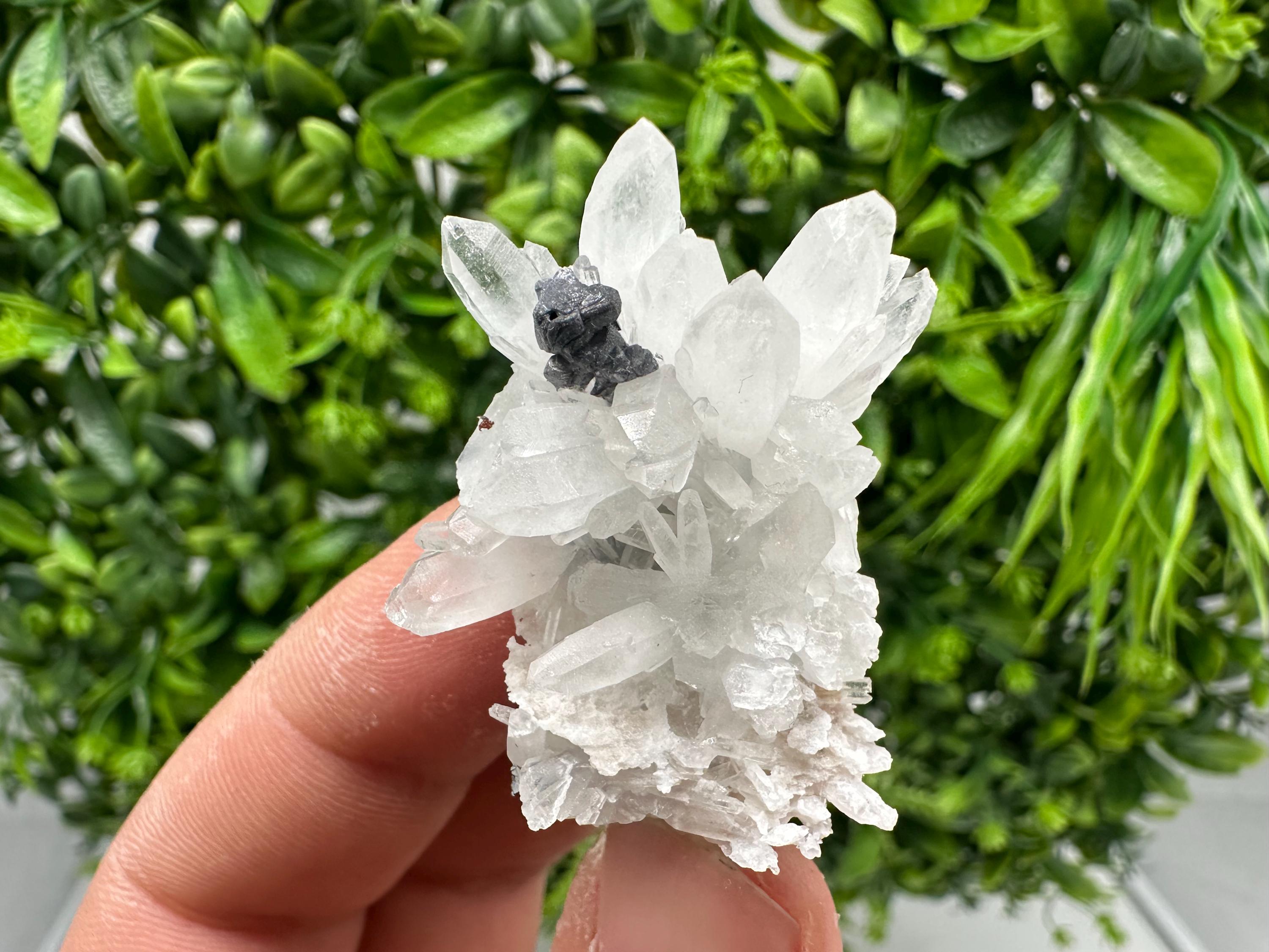Stunning Sphalerite on  Quarzt from Borieva mine,Madan,Bulgaria,natural,collection mineral specimen,home decor crystal,gift,collection