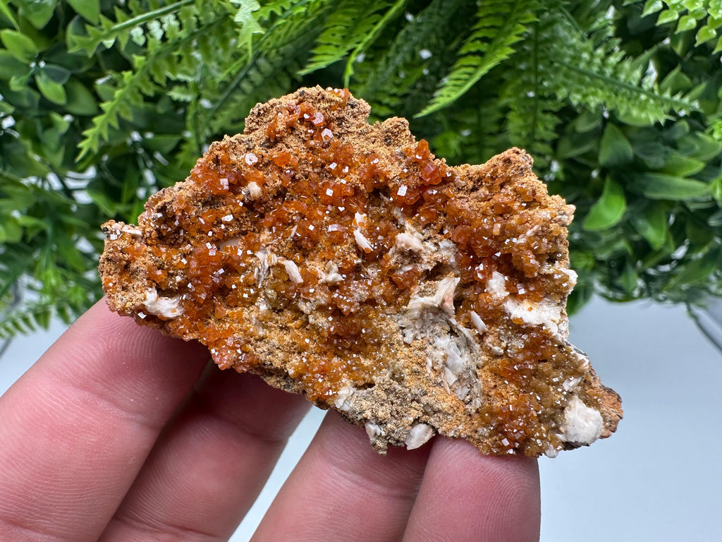 Red Vanadinite on Barite, Morocco Crystal Mineral Specimen