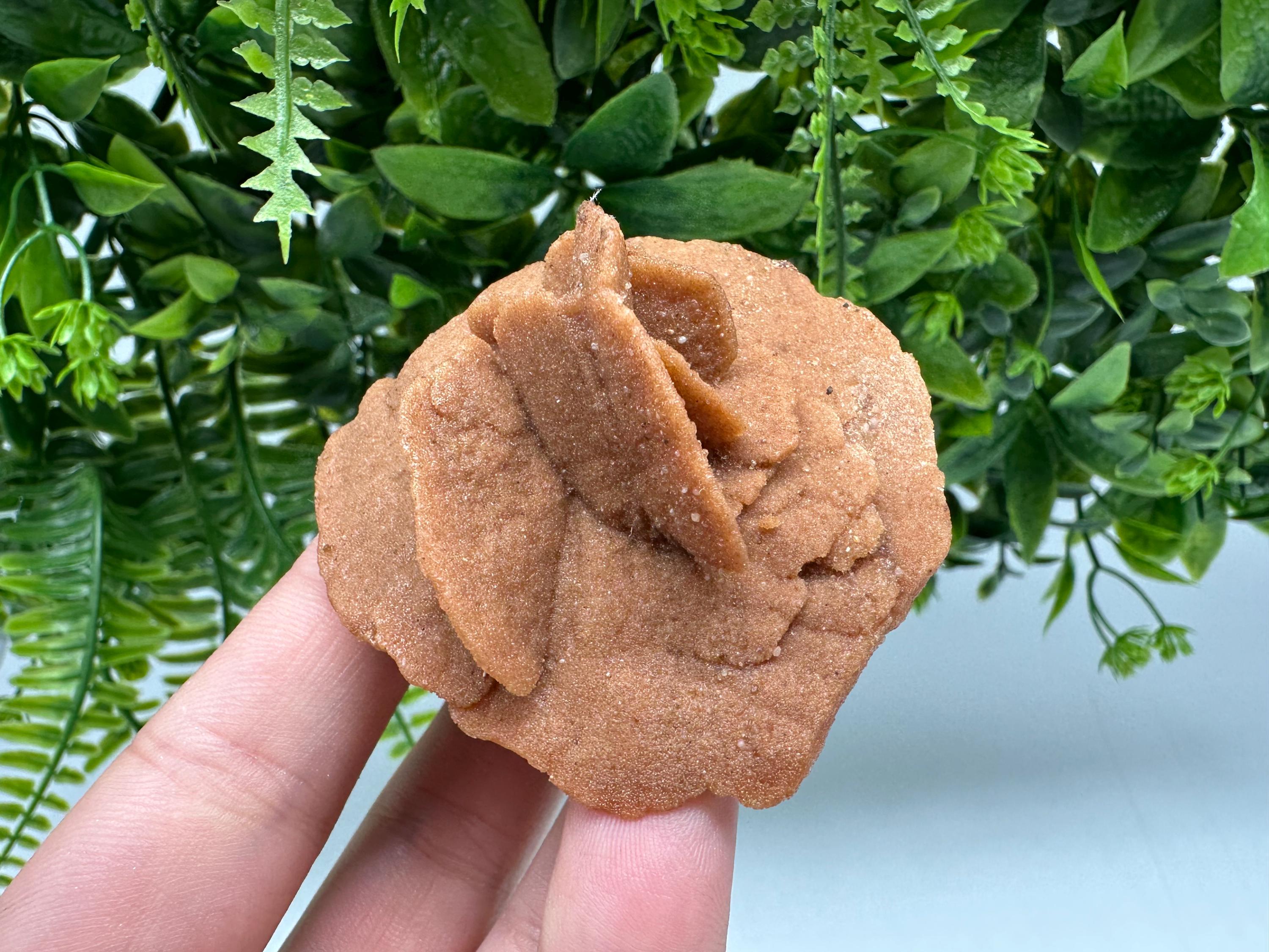 Natural Desert Rose Crystal – Root Chakra Healing Selenite Stone