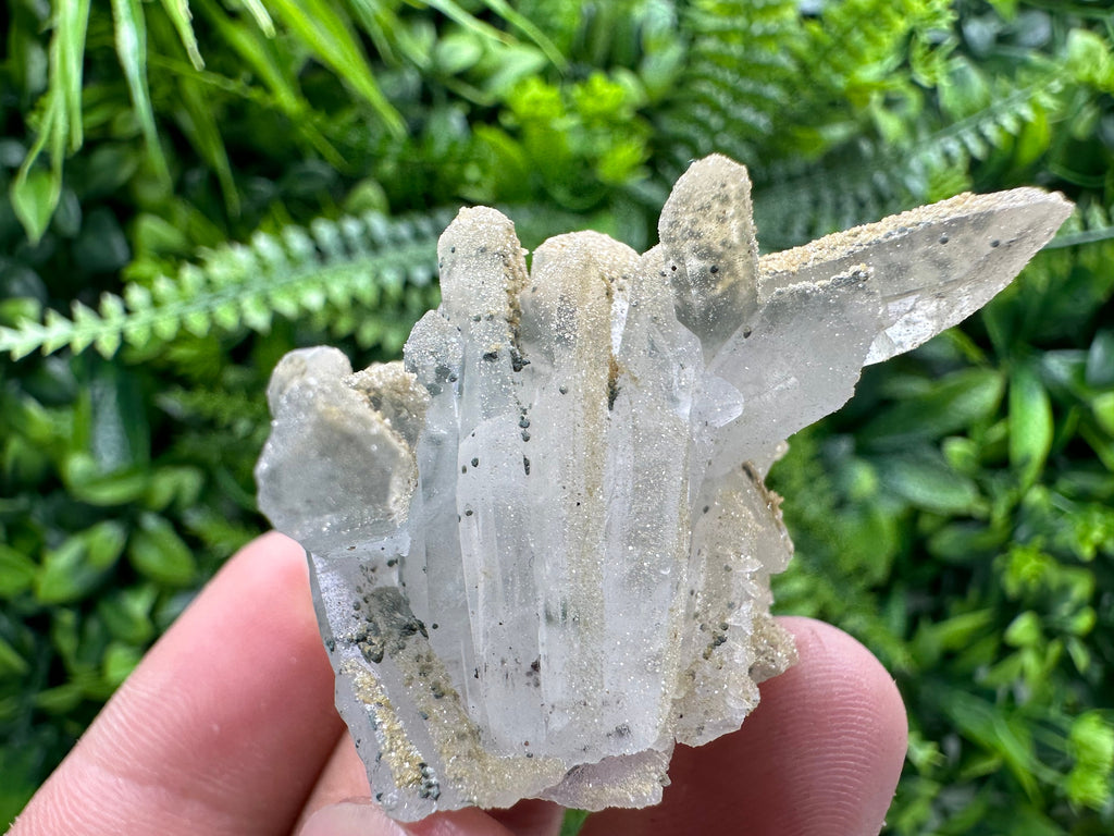 Quartz Rhodochrosite Cluster, Djurcovo Mine Mineral Specimen