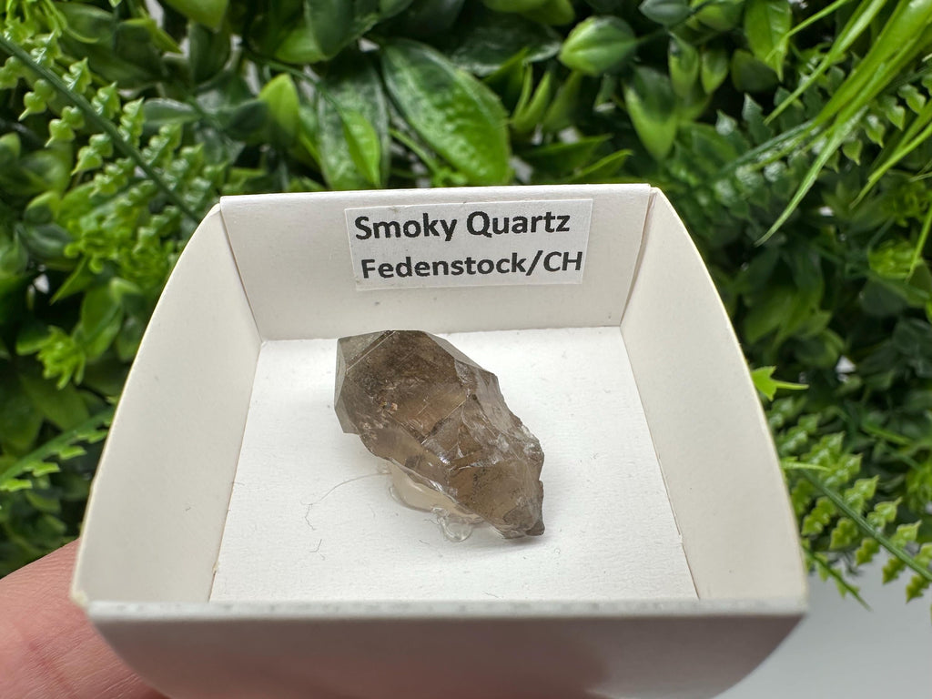 Rare Fedenstock Smoky Quartz Point, Swiss Mineral Specimen (30MM)