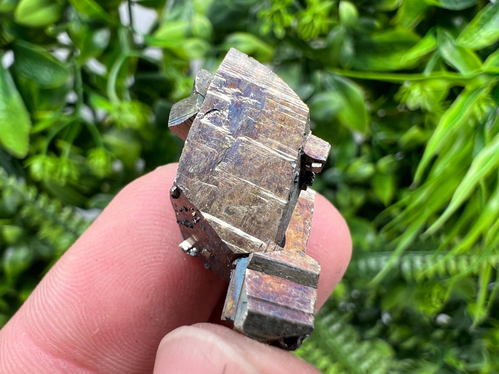 Rare Crystallization Pyrite, Borieva Mine, Bulgaria, Rainbow Golden Pyrite
