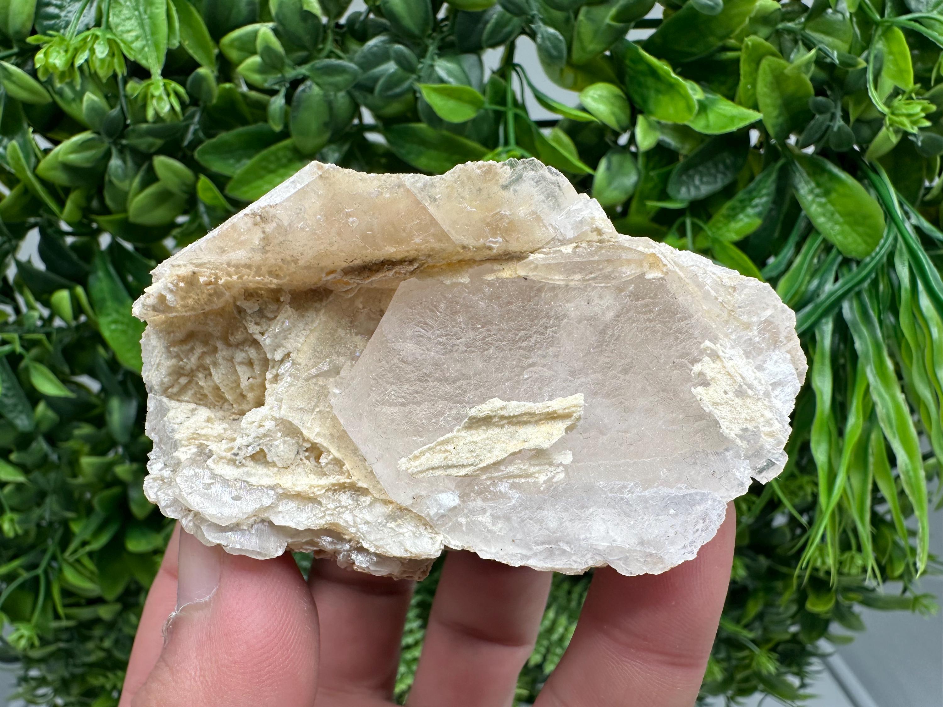 UV Reactive Mangano Calcite, Borieva Mine Bulgaria, Mineral Specimen