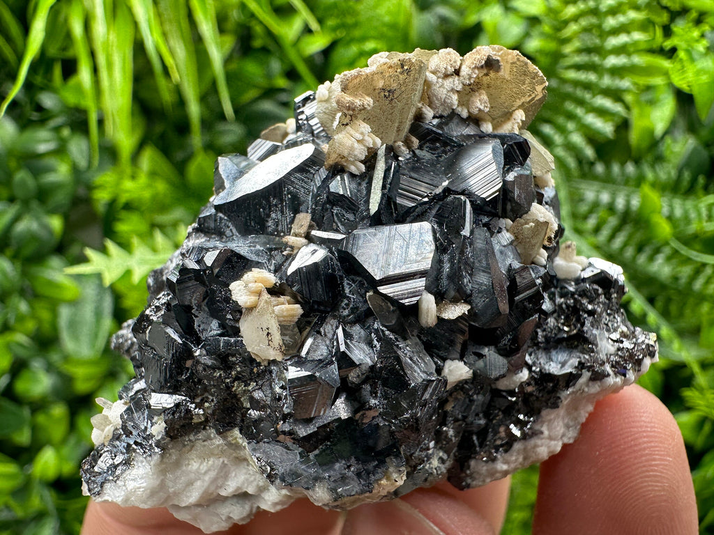 Calcite with Chlorite on Sphalerite, Borieva Mine Mineral Specimen