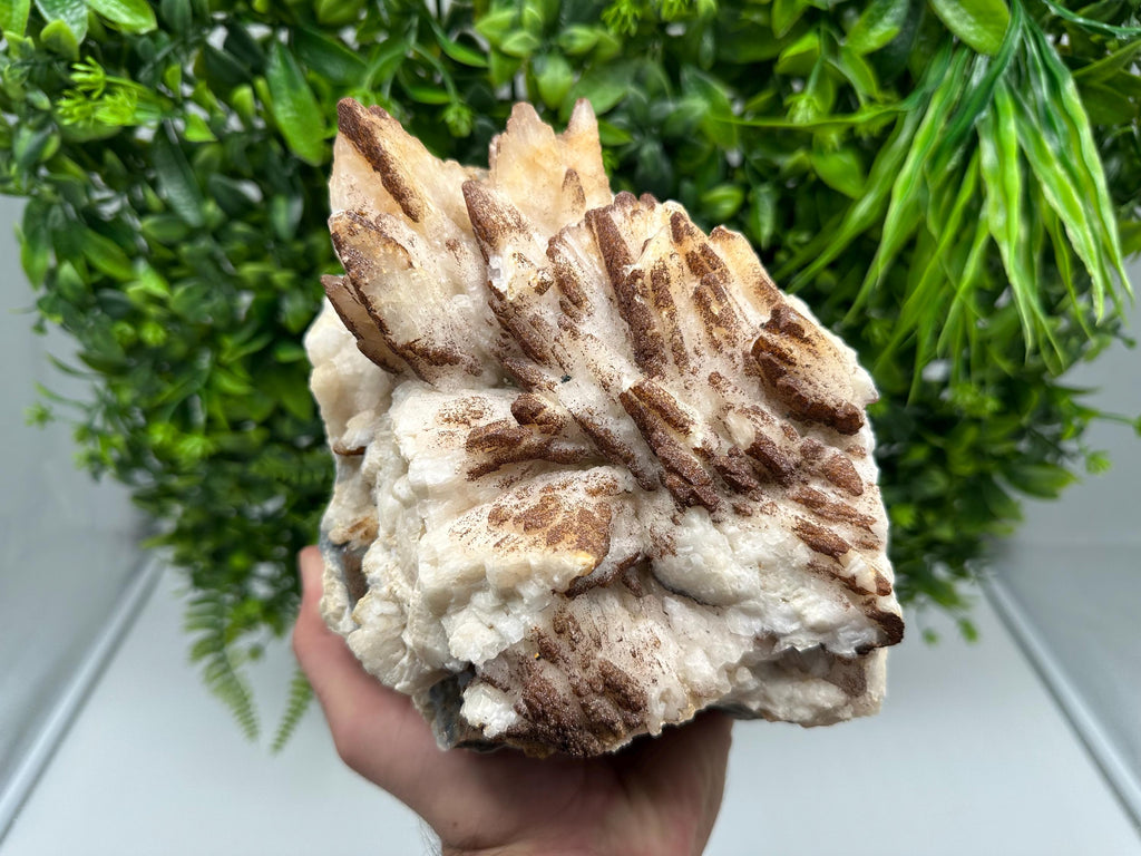 Stunning Brown Rhodochrosite on Calcite,Chalcedony,from Djurcovo mine,Bulgaria,natural collection mineral specimen,home decor crystal,gift