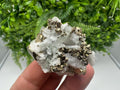 Pyrite on Green Quartz Mineral Specimen, Borieva Mine Bulgaria