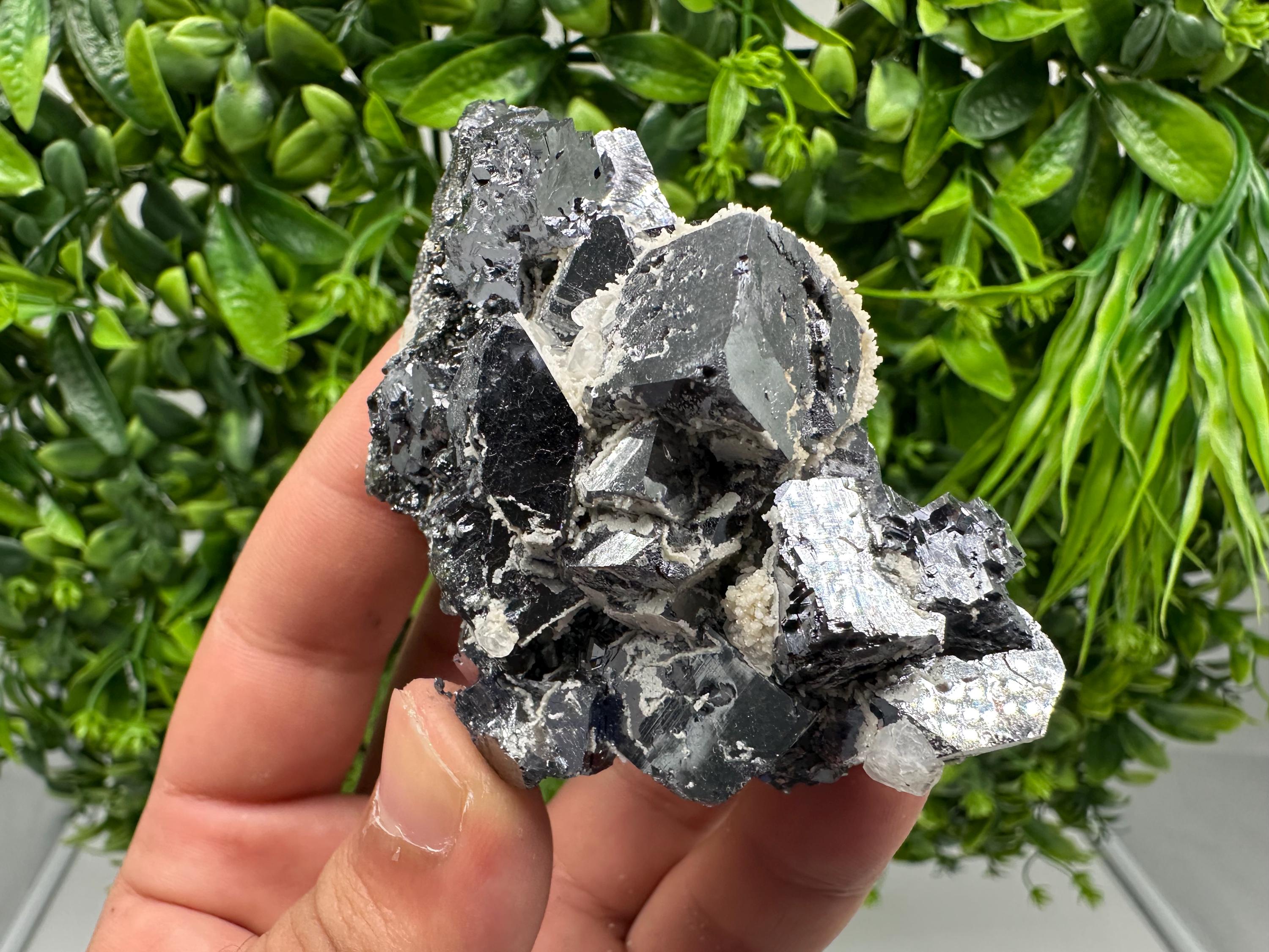 Rare Mirror Galena Cubes: Marzyan Mine, Bulgaria