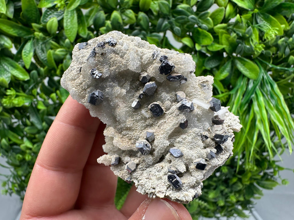 Galena on Chalcedony Mineral Specimen: Krushev dol Mine, Bulgaria