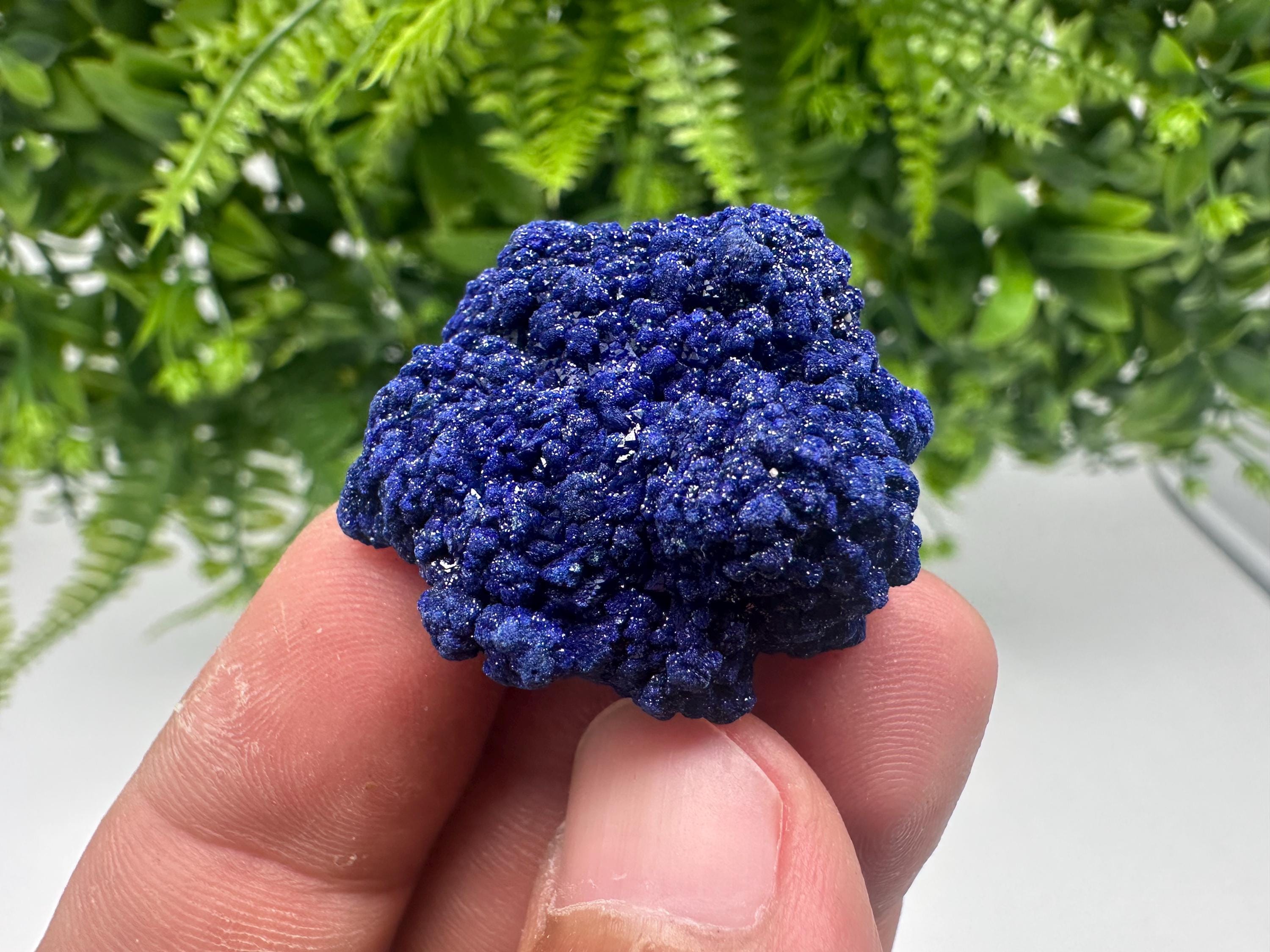 Crystallized Azurite-Kerrouchen,Morocco-Blue Azurite Specimen-High Quality Blue Azurite-Azurite Mineral Specimen, gemmy,lustrous of Azurite