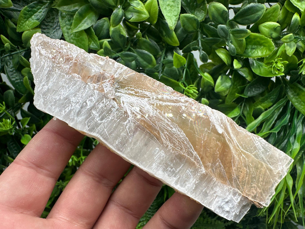 Golden Phantom Selenite Slab: Raw Utah Fishtail Selenite Wand