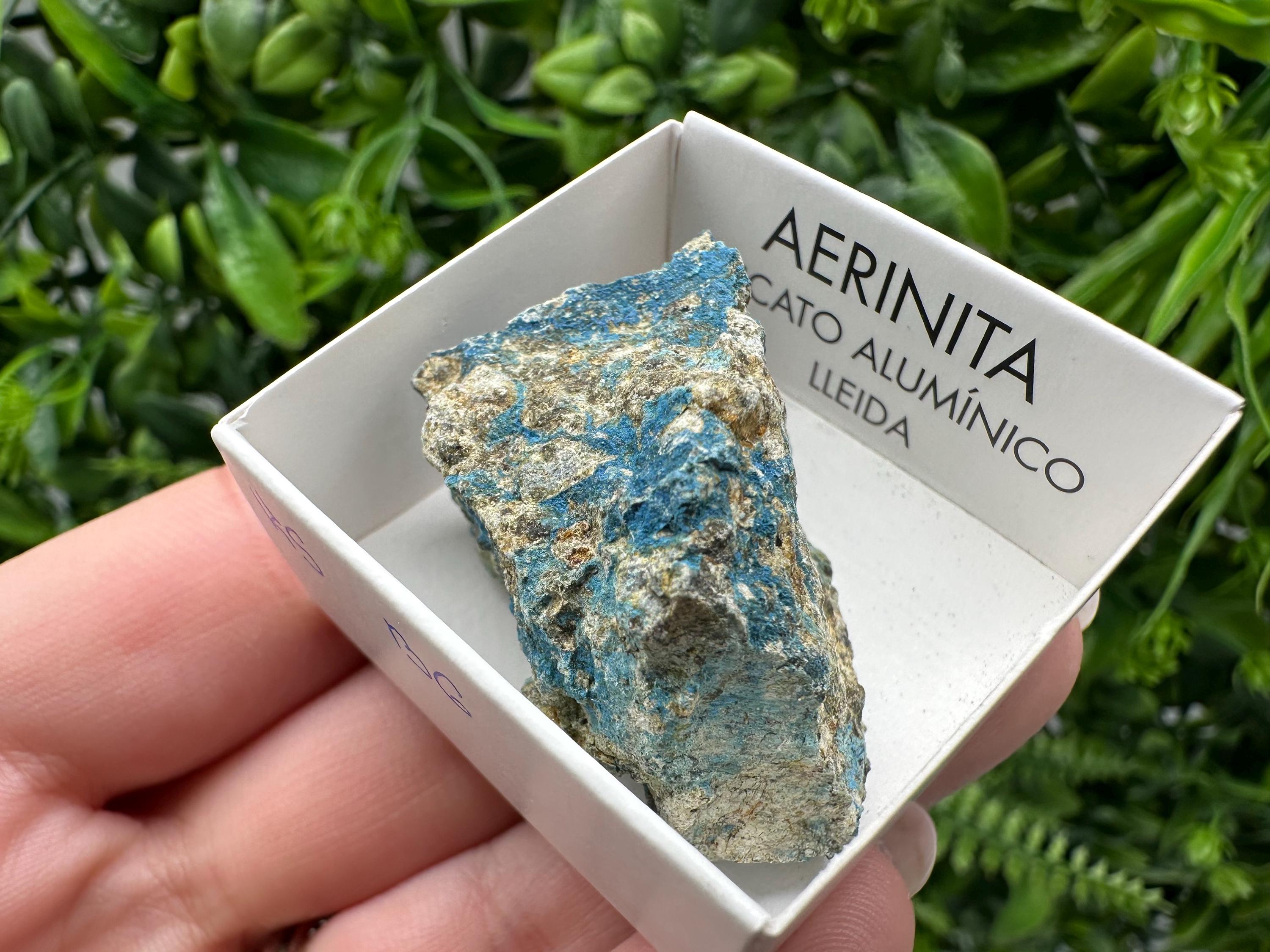 Rare Raw Aerinite Mineral Specimen: Lleida, Spain Crystal