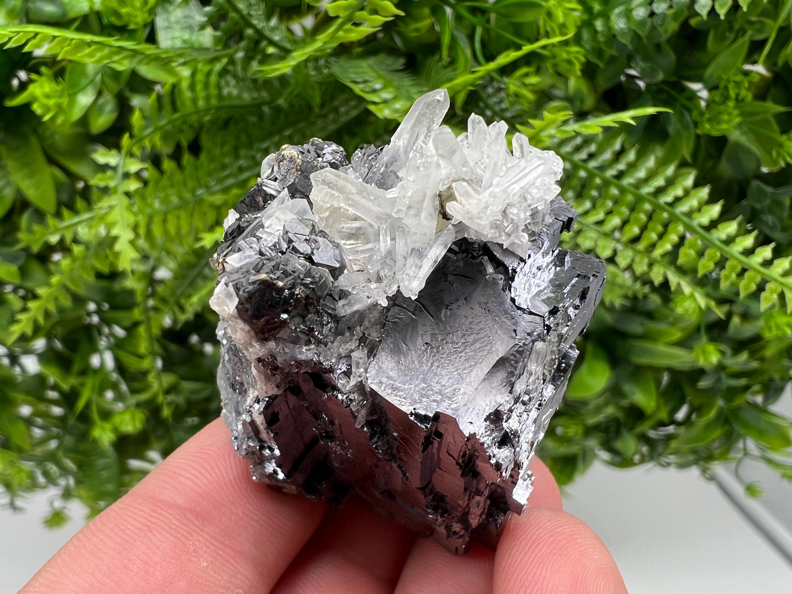 Pyrite Galena Sphalerite Quartz Specimen, Borieva Mine Bulgaria