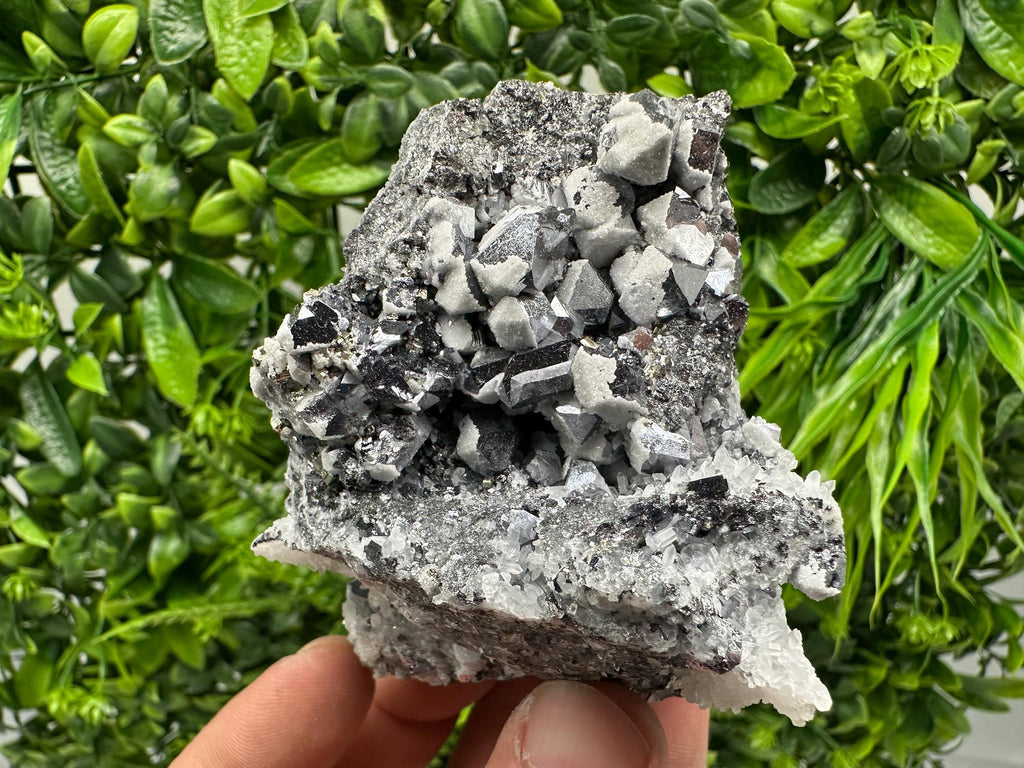 Skeletal Galena Mineral Specimen, Drujba Mine Bulgaria