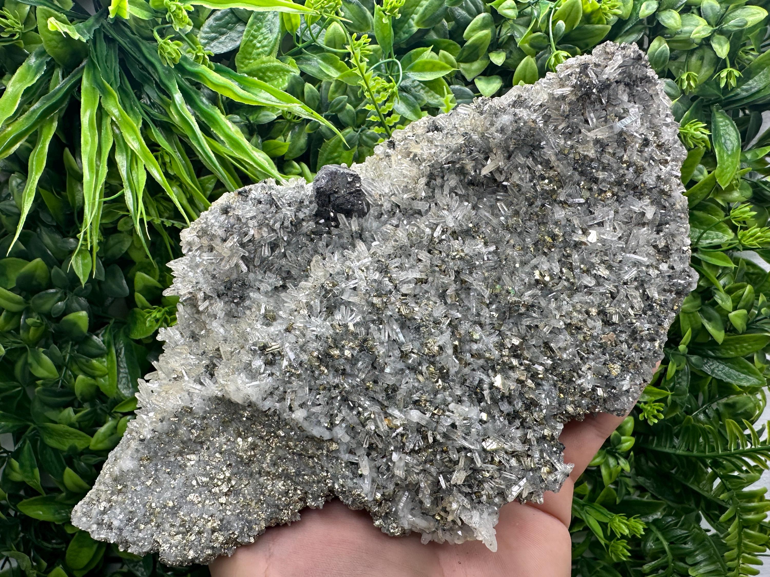 Sphalerite on Quartz with Pyrite, Borieva Mine Mineral Specimen