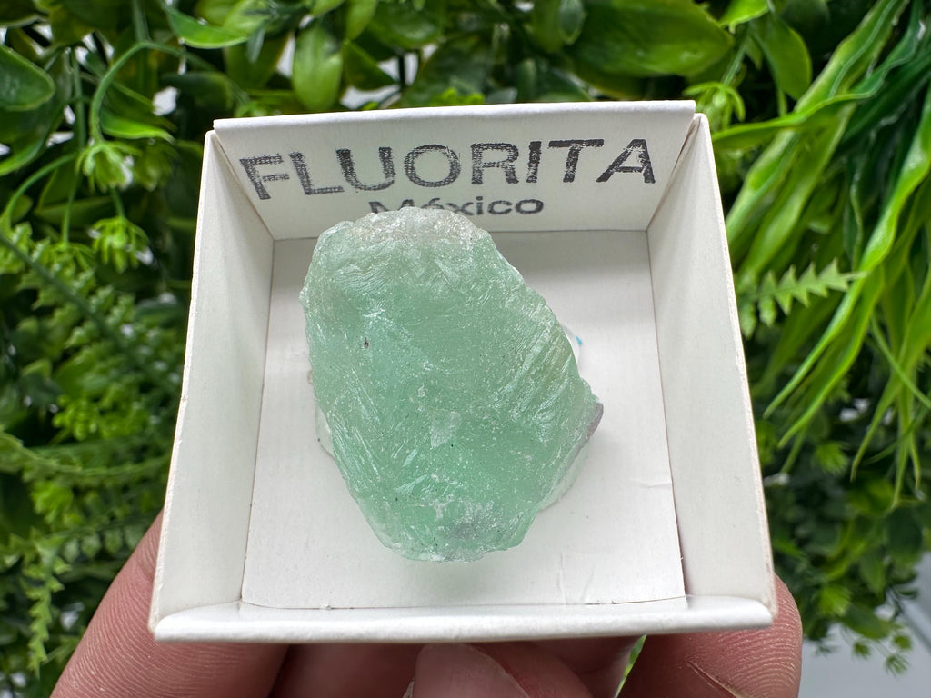 Rare Rainbow Fluorite from Mexico: Raw Meditation Stone