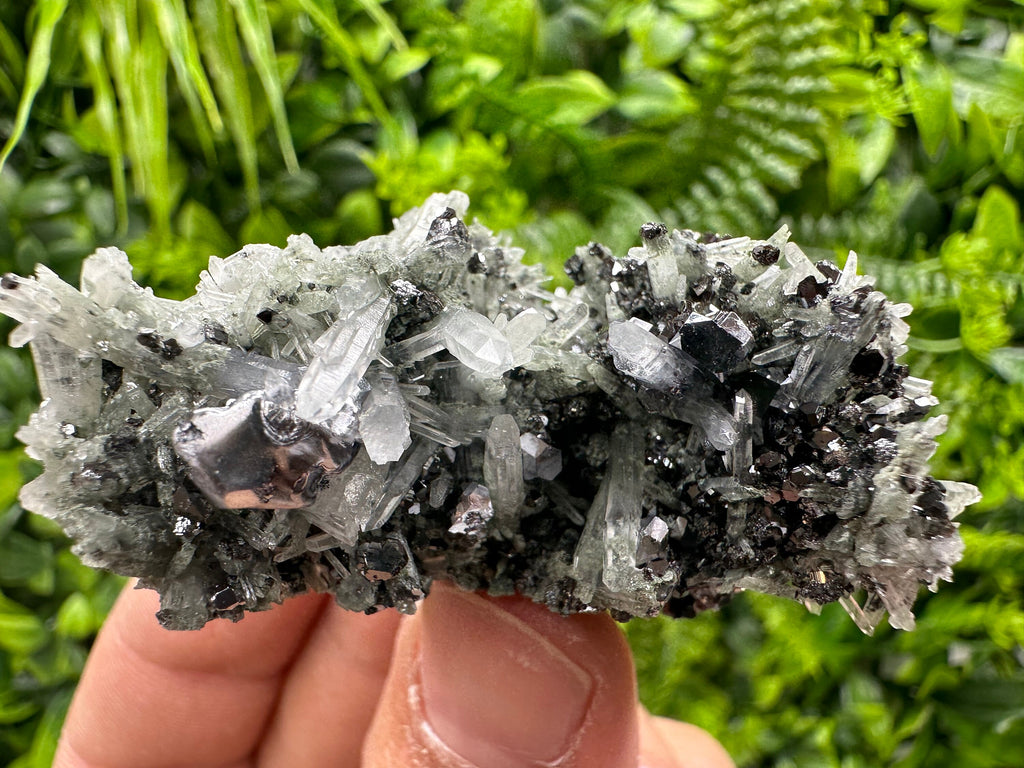 Galena with Sphalerite on Green Quartz - Madan Bulgaria Crystal
