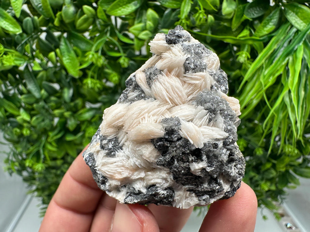 Wonderful Baryte with Cerussite on Galena from Morocco,Crystal, Mineral,Specimen,Cluster,Crystals,Barite Crystal,Cerussite Crystal,Specimen