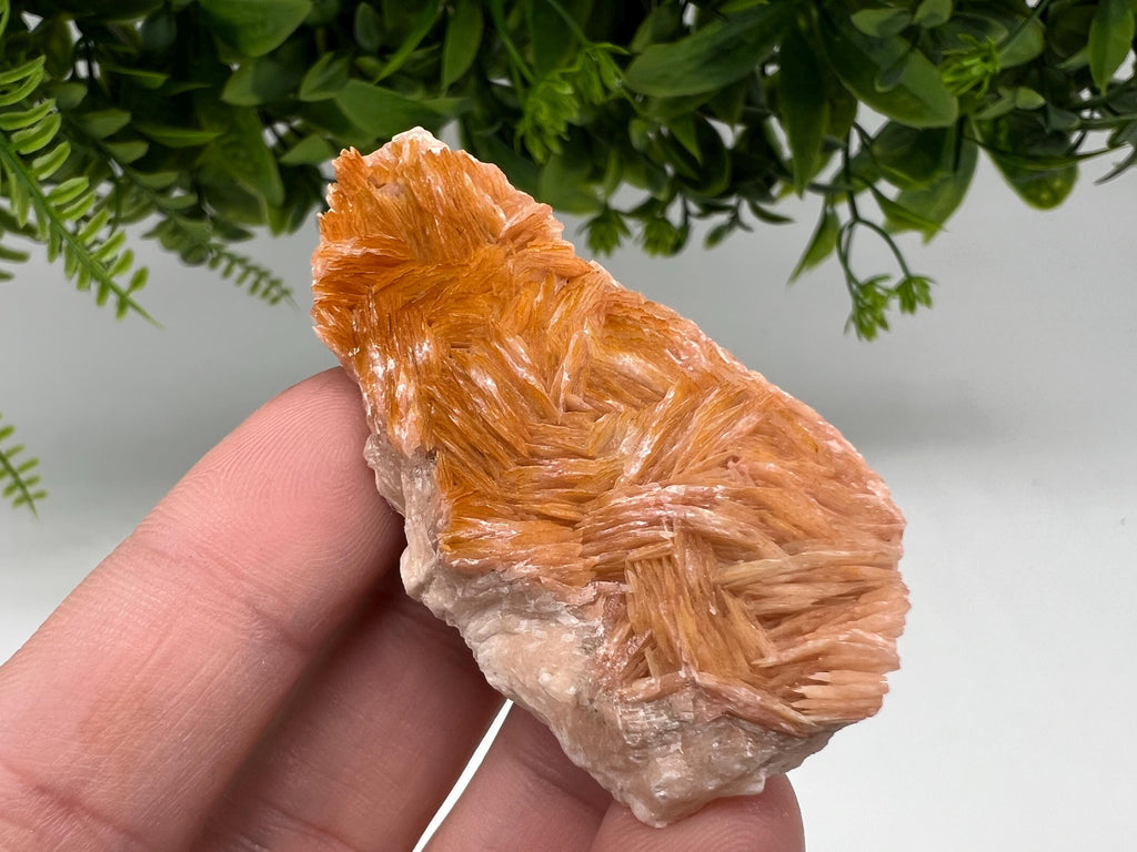 Wonderful Baryte with Cerussite on Galena from Morocco,Crystal, Mineral,Specimen,Cluster,Crystals,Barite Crystal,Cerussite Crystal,Specimen