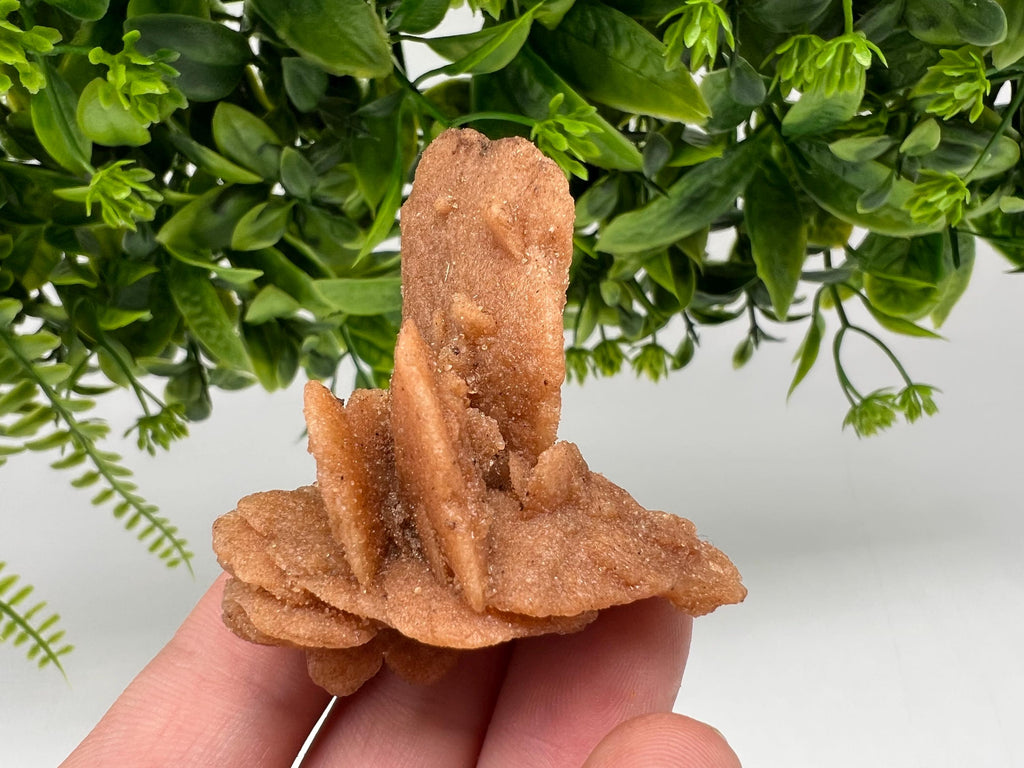 Desert Rose Crystal: Root Chakra Healing Selenite Stone
