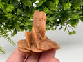 Desert Rose Crystal: Root Chakra Healing Selenite Stone
