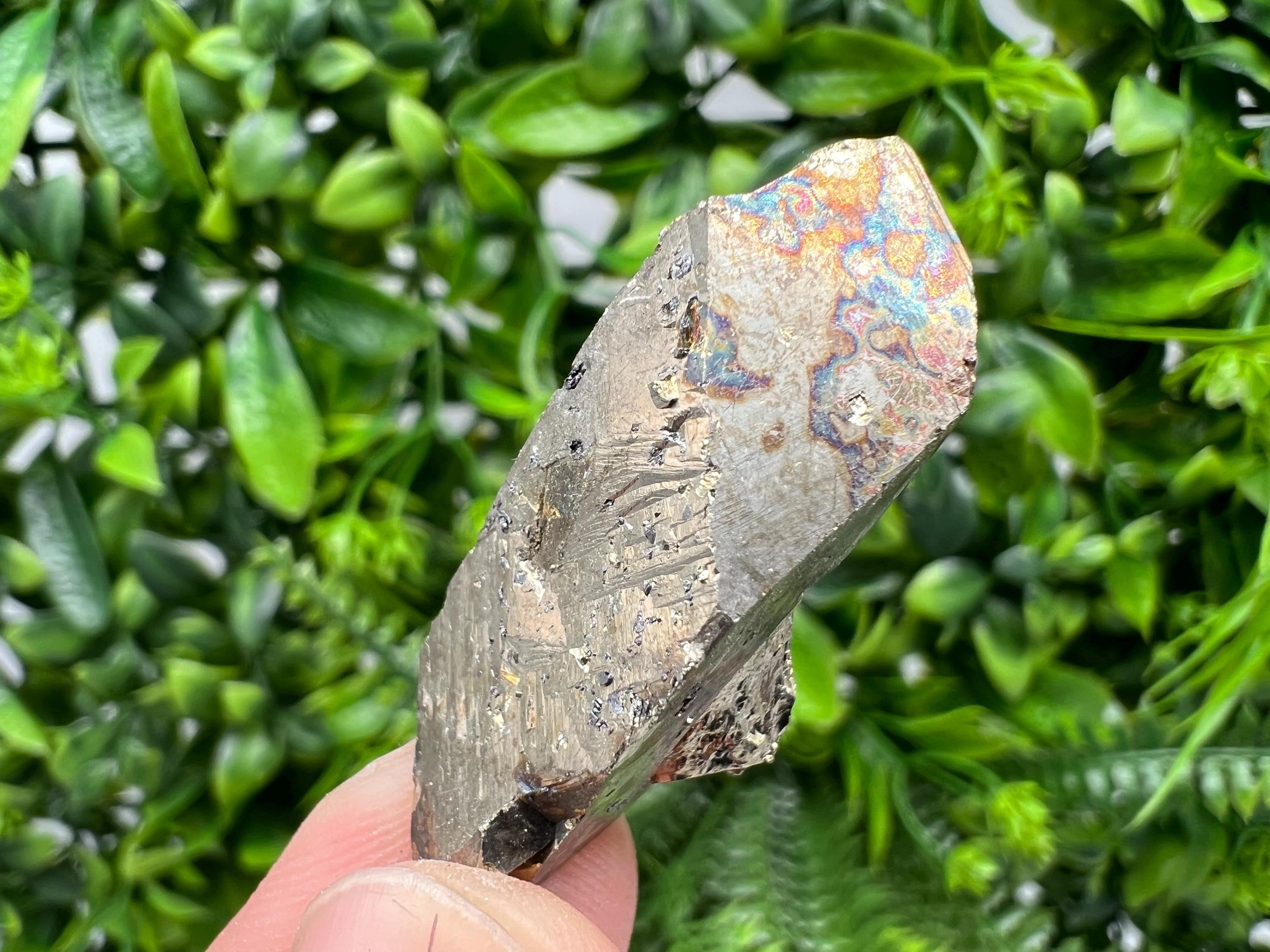 Rare Rainbow Pyrite Cluster: Borieva Mine, Bulgaria