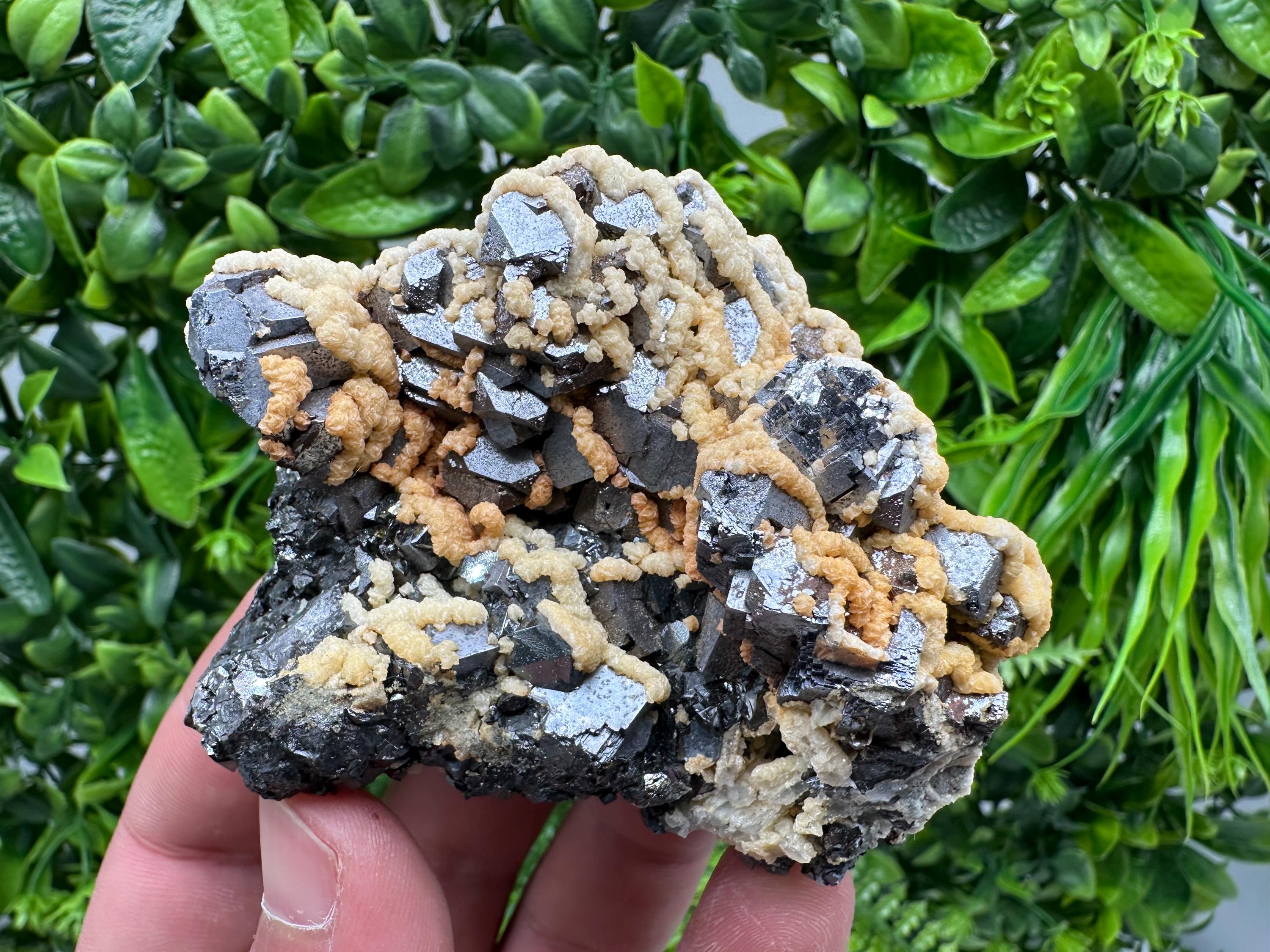 Galena with Dolomite Cluster, Krushev dol Bulgaria