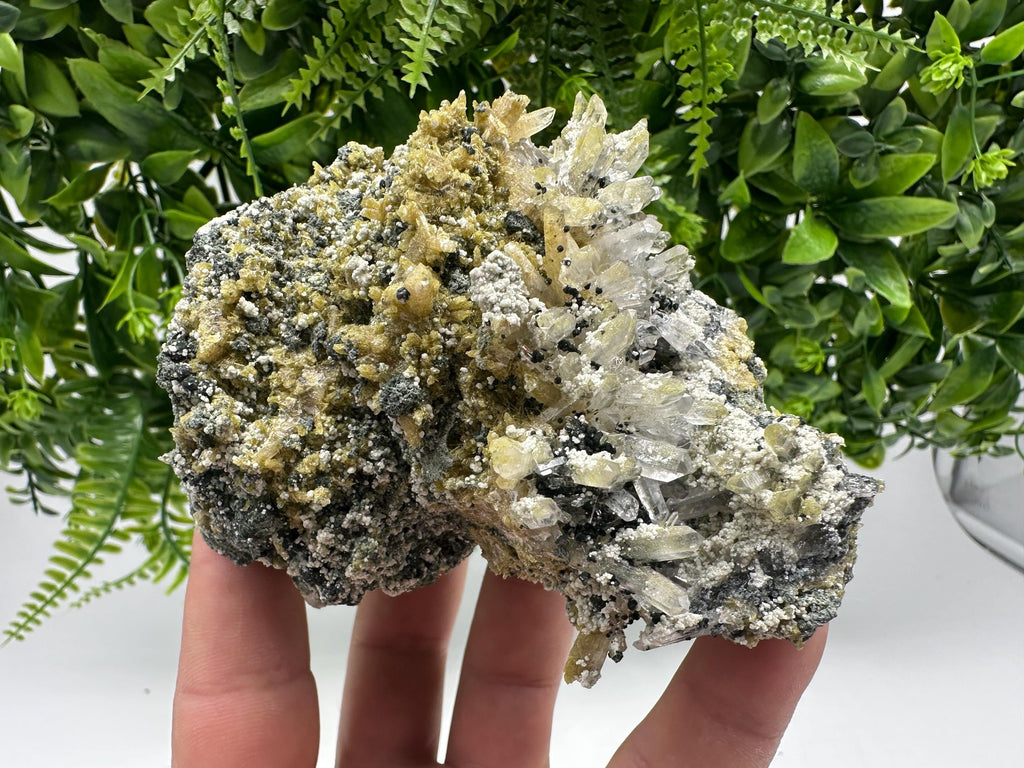 Chlorite Epidote Quartz Specimen: Borieva Mine, Bulgaria