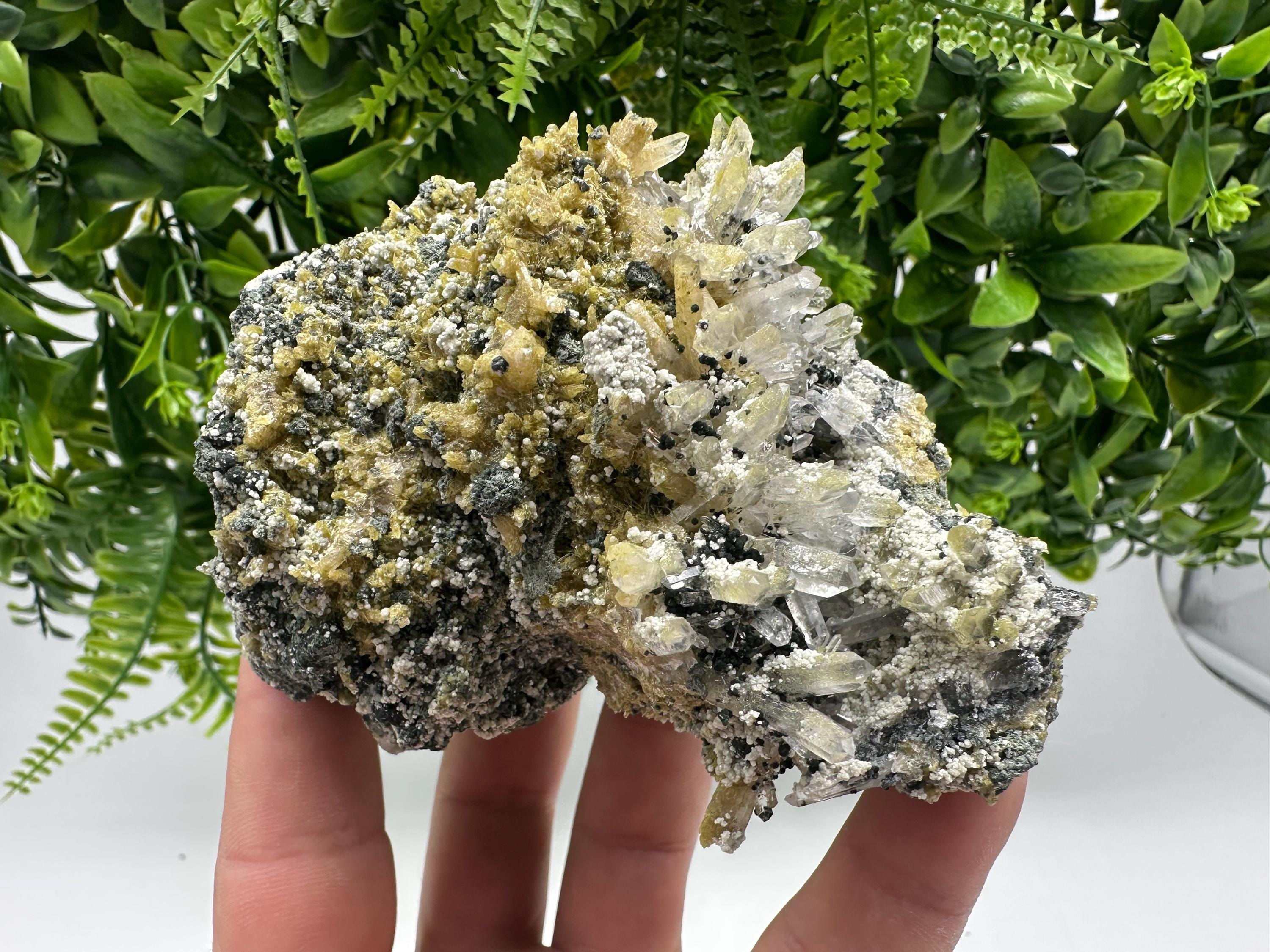 Chlorite Epidote Quartz Specimen: Borieva Mine, Bulgaria