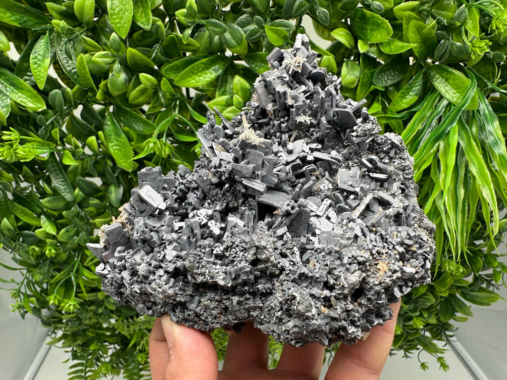 Skeletal Galena on Sphalerite, Natural Crystal Mineral Souvenir