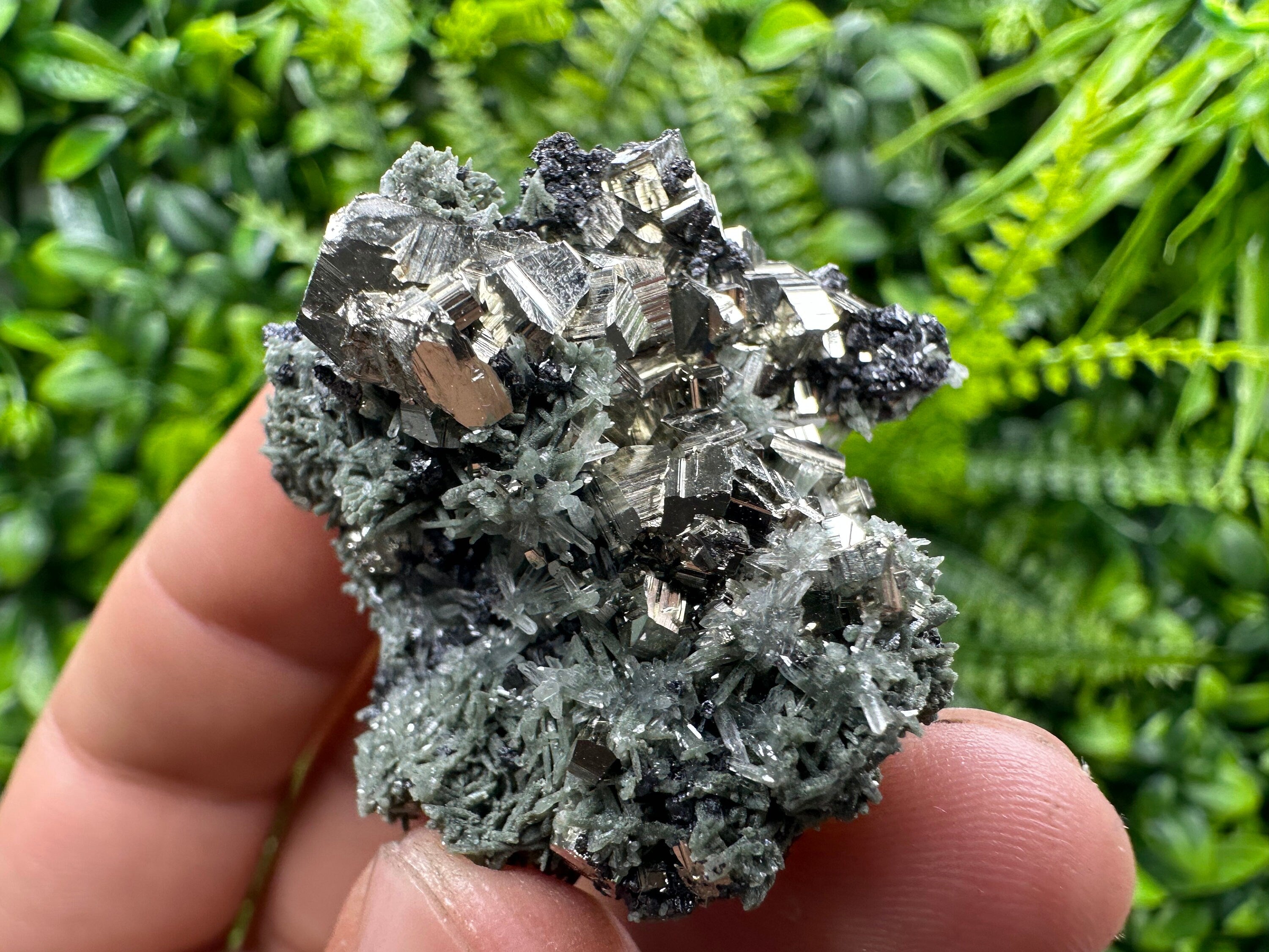 Crystallized Pyrite on Green Quartz: Borieva Mine, Bulgaria