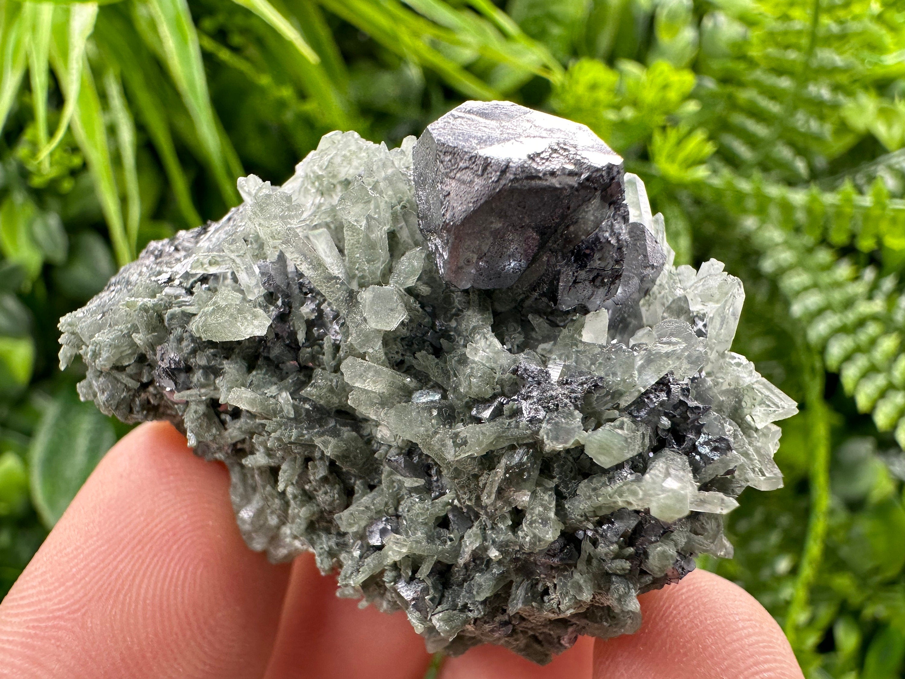 Galena on Green Quartz, Borieva Mine Mineral Specimen