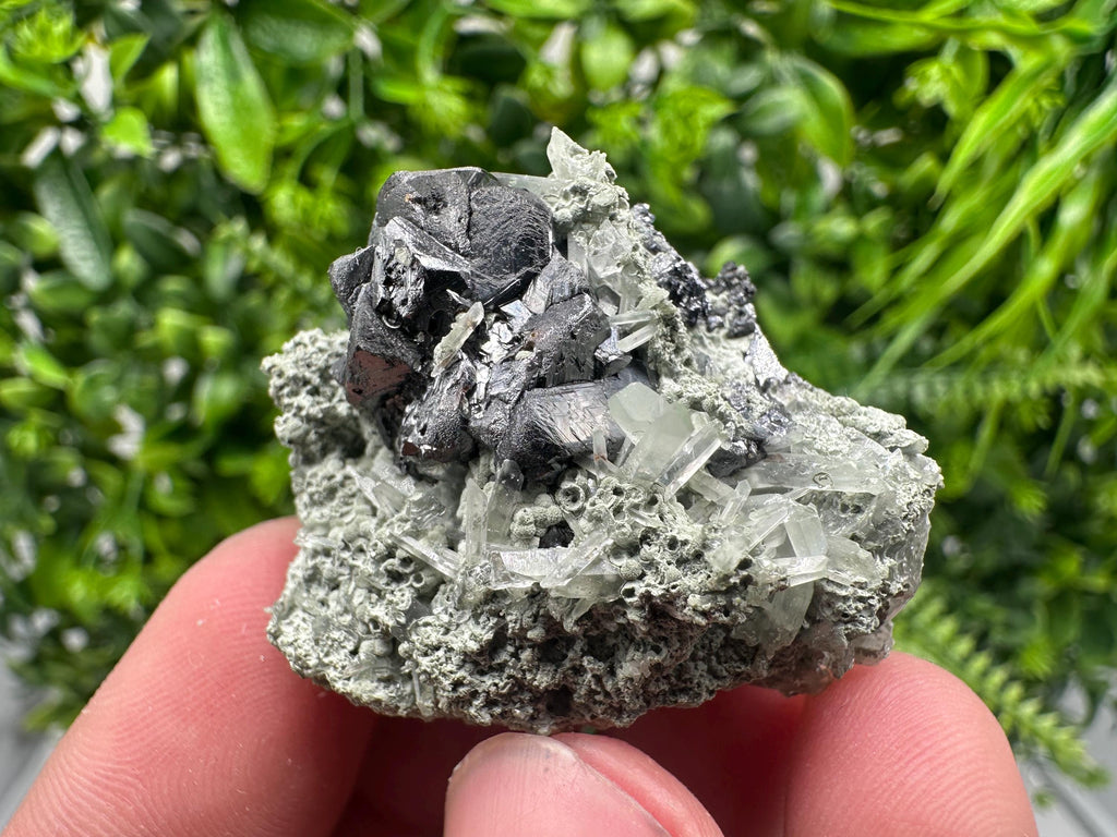 Sphalerite with Chlorite Mineral Specimen - Borieva Mine, Bulgaria