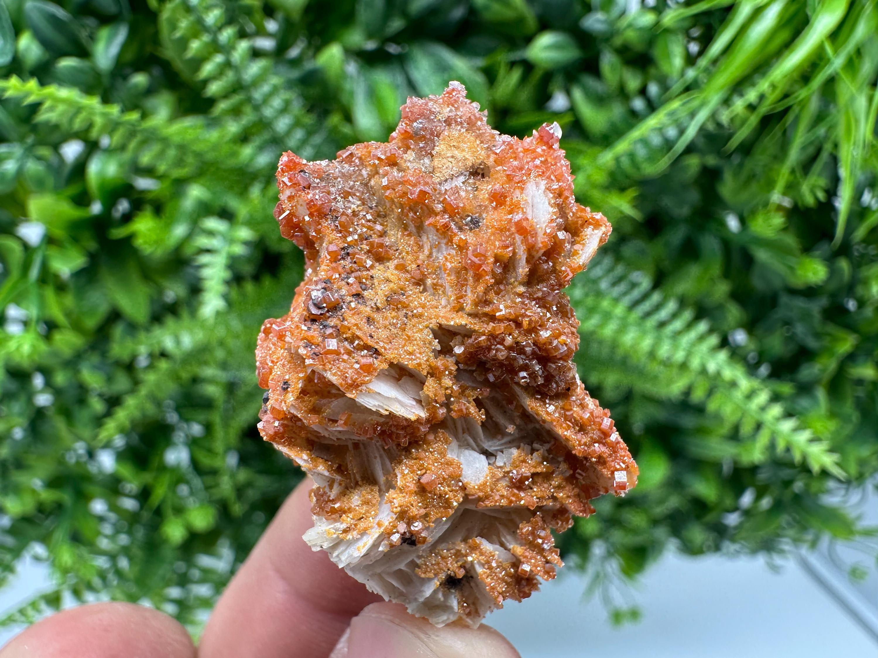 Red Vanadinite Crystal Cluster on Matrix, Morocco Mineral Specimen