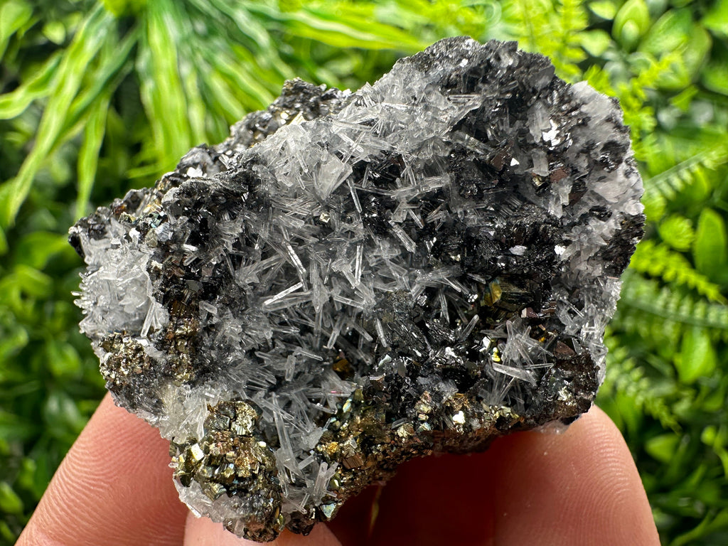 Rainbow Pyrite, Sphalerite on Quartz: Natural Crystal Souvenir
