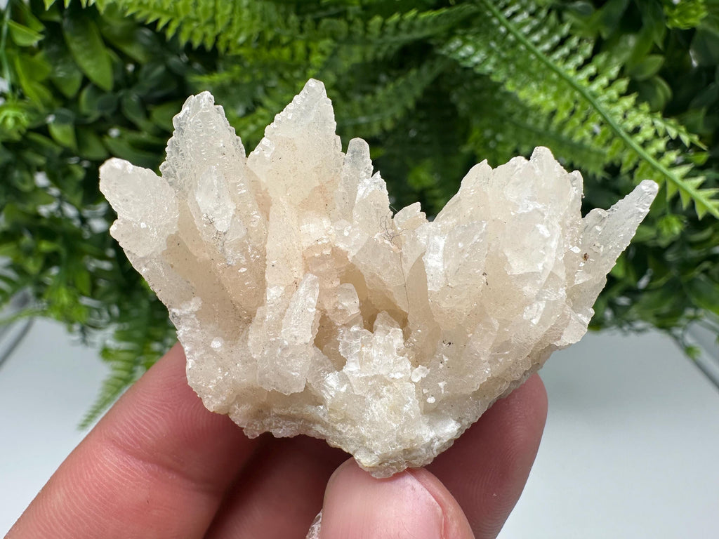 Calcite on Green Quartz: Djurcovo Mine, Bulgaria Crystal