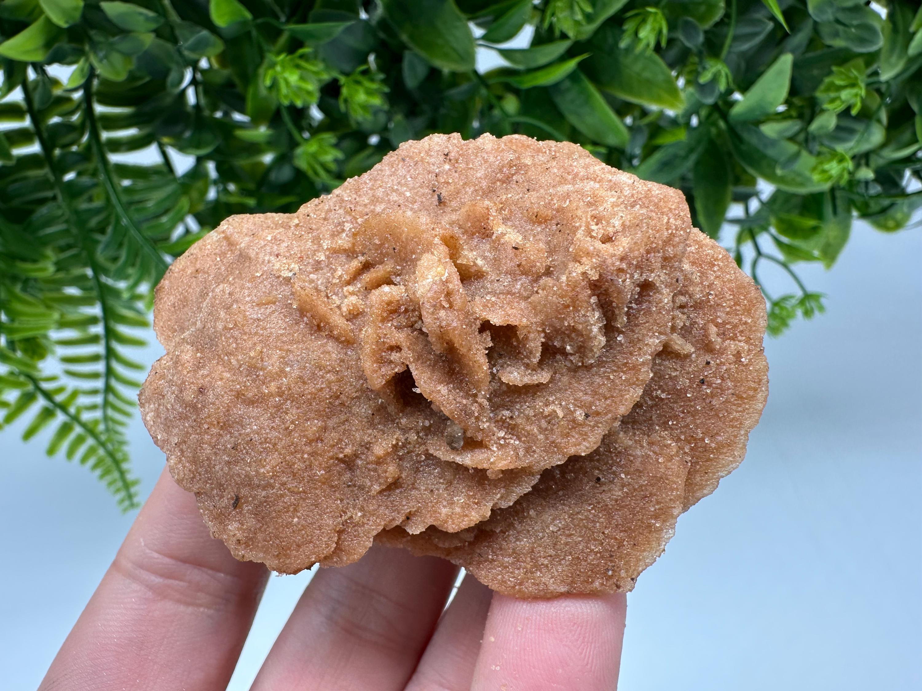 Natural Desert Rose Crystal – Root Chakra Healing Selenite Stone