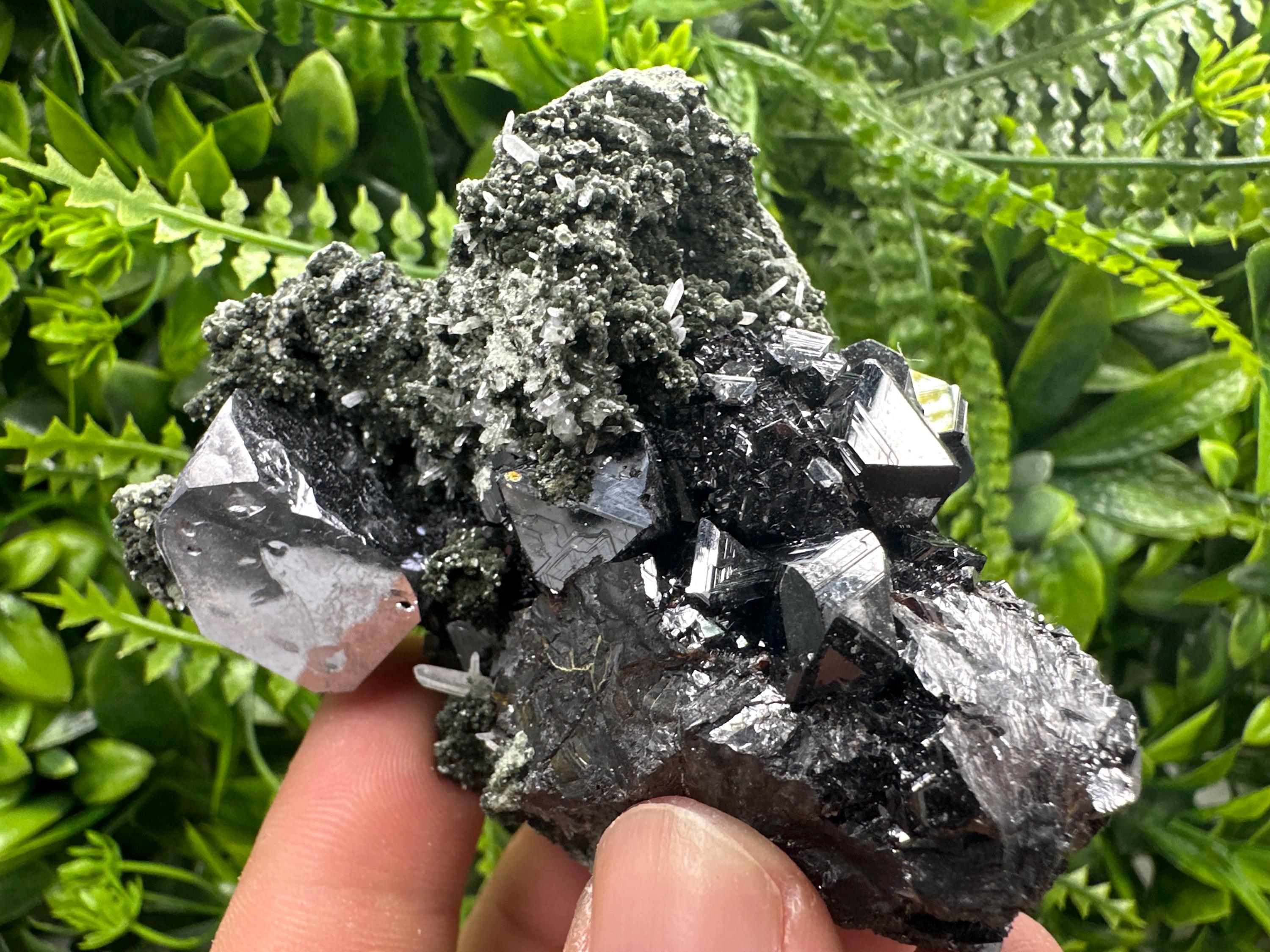 Galena with Black Sphalerite: Natural Minerals Souvenir, Borieva Bulgaria