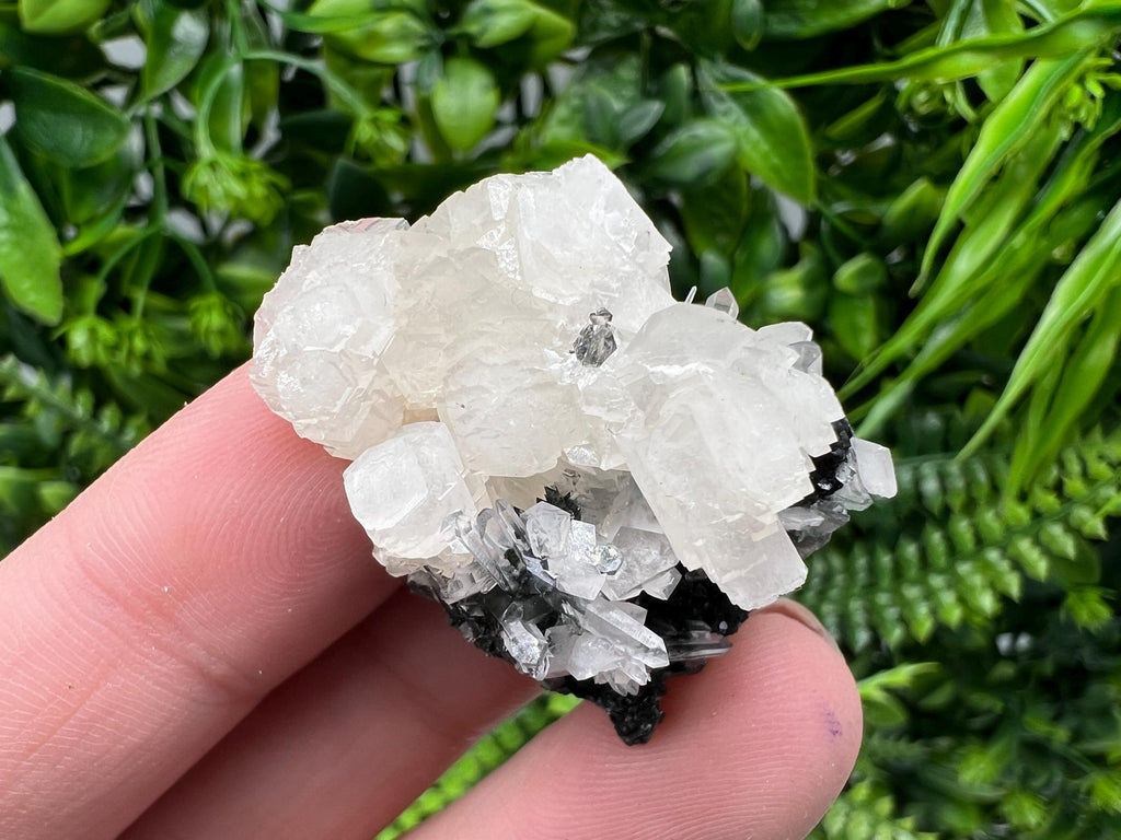 Quartz Crystal with Calcite and Chlorite - Borieva Mine, Bulgaria