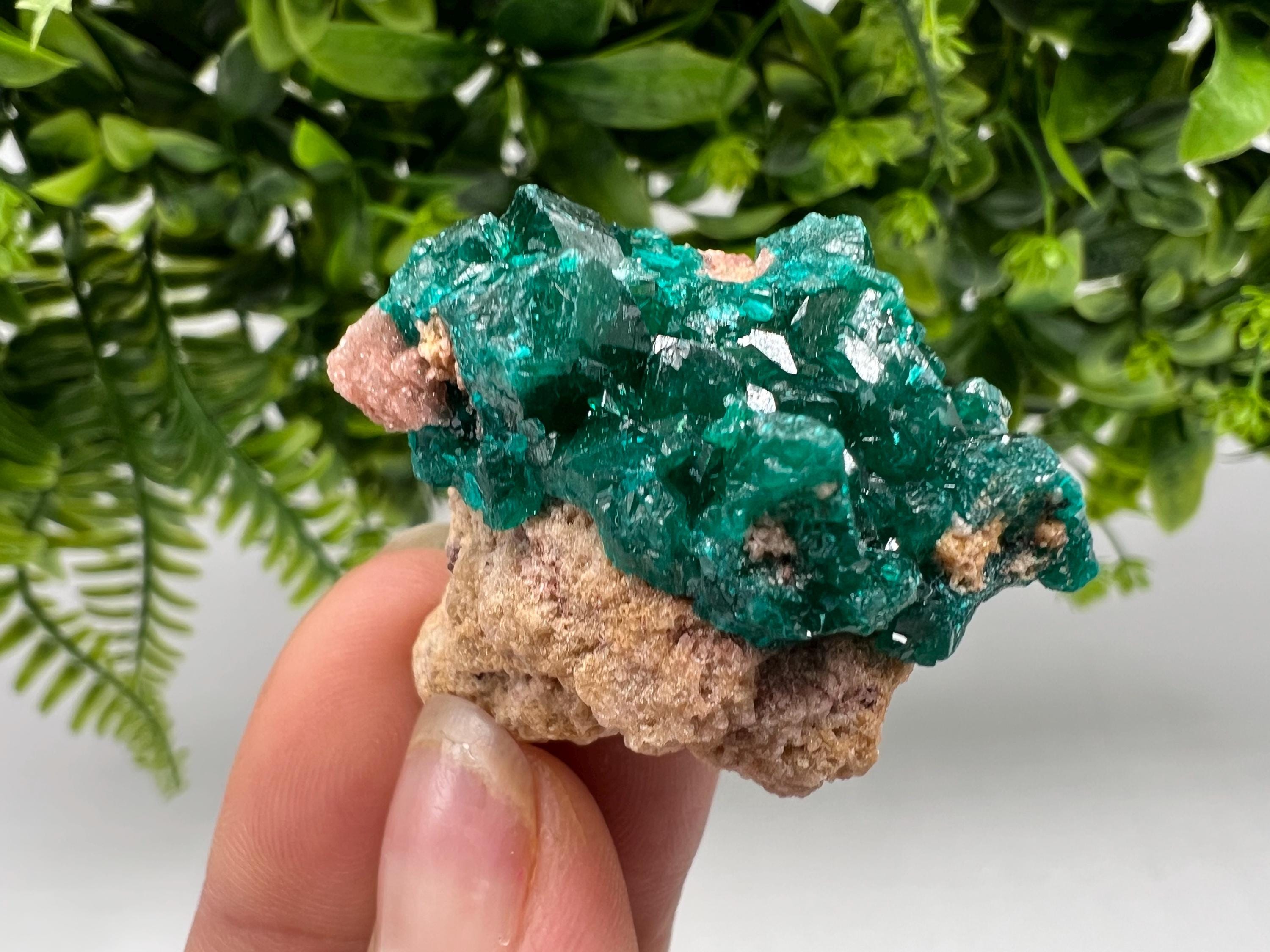 Stunning Green Dioptase from Sanda Hills,Mindouli,Pool Department,Mindouli District,Congo,green Dioptase,Dioptas Crystal,Dioptase collecting