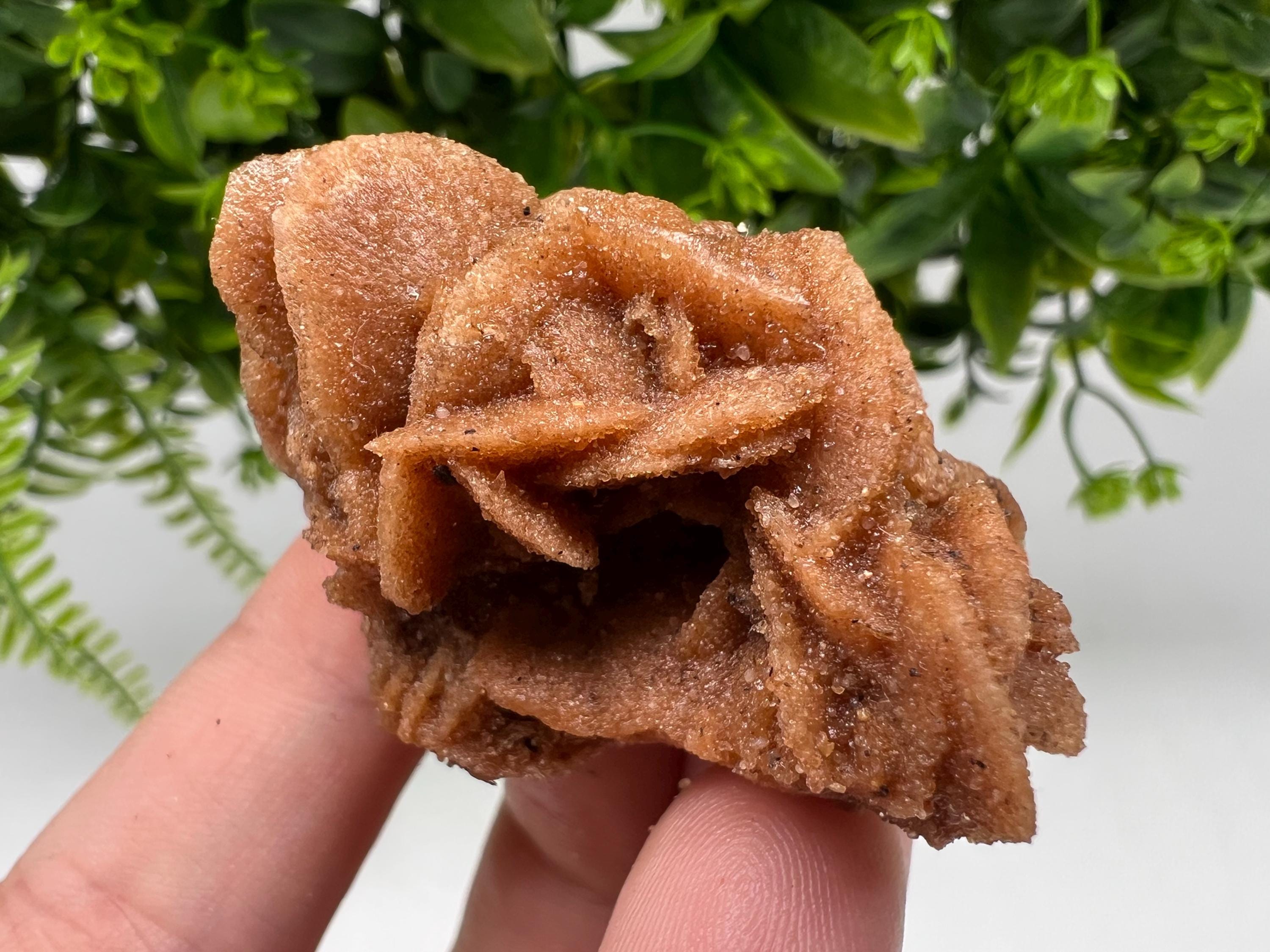 Desert Rose Crystal: Root Chakra Healing Selenite Stone